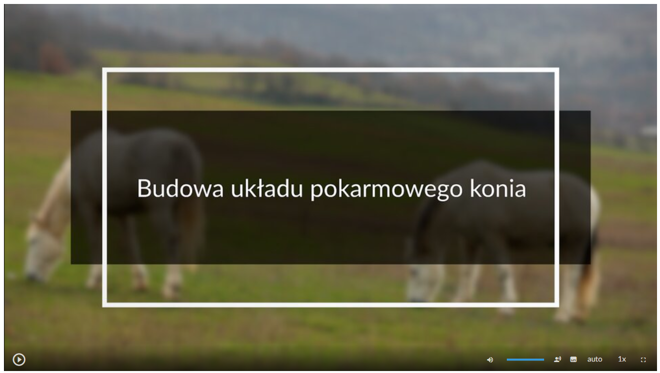 Grafika przedstawia wygląd ekranu filmu. Znajduje się na nim plansza tytułowa. Jest to grafika przedstawiająca pasące się na łące konie, na której tle umieszczono tytuł filmu: Budowa układu pokarmowego konia. W lewym dolnym rogu ekranu filmu umieszczony jest przycisk służący do odtwarzania i zatrzymywania technologiczny zbioru zbóż. W lewym dolnym rogu ekranu filmu umieszczony jest przycisk służący do odtwarzania i zatrzymywania filmu. W prawym dolnym rogu ekranu umieszczono szereg różnych przycisków. Odpowiedzialne są one między innymi za uruchamianie napisów, zmianę głośności i zmianę szybkości odtwarzania.