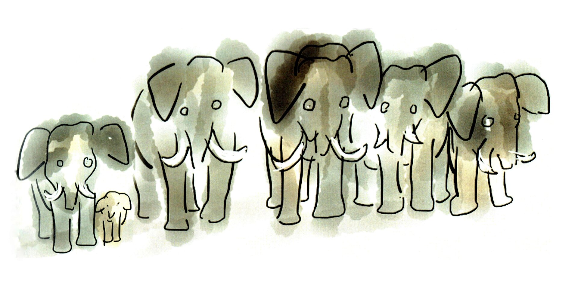 Ilustracja przedstawia pracę Józefa Wilkonia z książki Ryszarda Kiplinga "Słoniątko". Ukazuje pięć dużych słoni i jedno słoniątko. Kontury słoni narysowane są na szarych plamach w różnym odcieniu.
