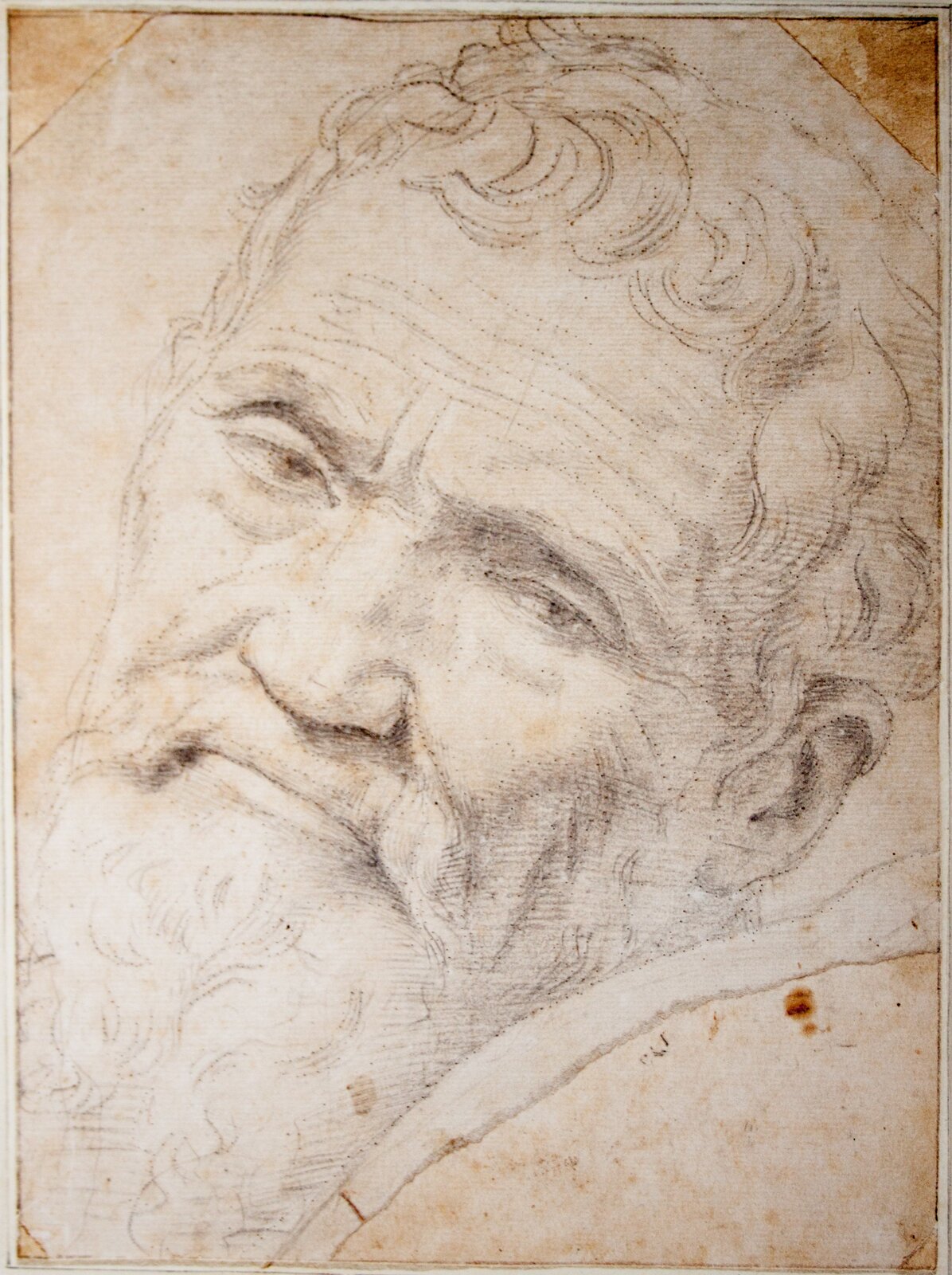 Na ilustracji rysunek smutnej twarzy starszego mężczyzny. Widoczne zmarszczki na czole. Ma kręcone włosy, odsłonięte lewe ucho. Widoczna, ale słabo, długa broda.