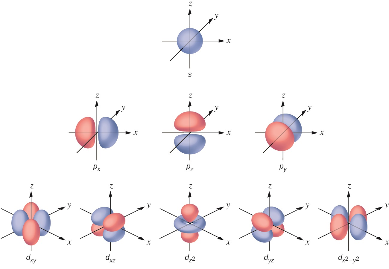 Na ilustracji są rysunki orbitali występujących na różnych powłokach. Różnią się kształtami. Orbital s: na ilustracji jest układy współrzędnych x, y, z. Orbital ma kształt kulisty. Na powłokach         p            x         ,         p            z          i         p            y          dwa orbitale są nieco spłaszczone, położone blisko siebie. W zależności od orbitalu są względem siebie usytuowane inaczej. Orbitale:         d            x       y         ,         d            x       z         ,         d                     z                    2                         ,         d            y       z         ,         d                     x                    2                       −                y                    2                          zbudowane są z czterech owali ułożonych względem siebie pod różnym kątem względem osi x, y, z. Wyjątkiem jest orbital         d                     z                    2                         . To torus, przez który przechodzą tak zwane "hantle". 