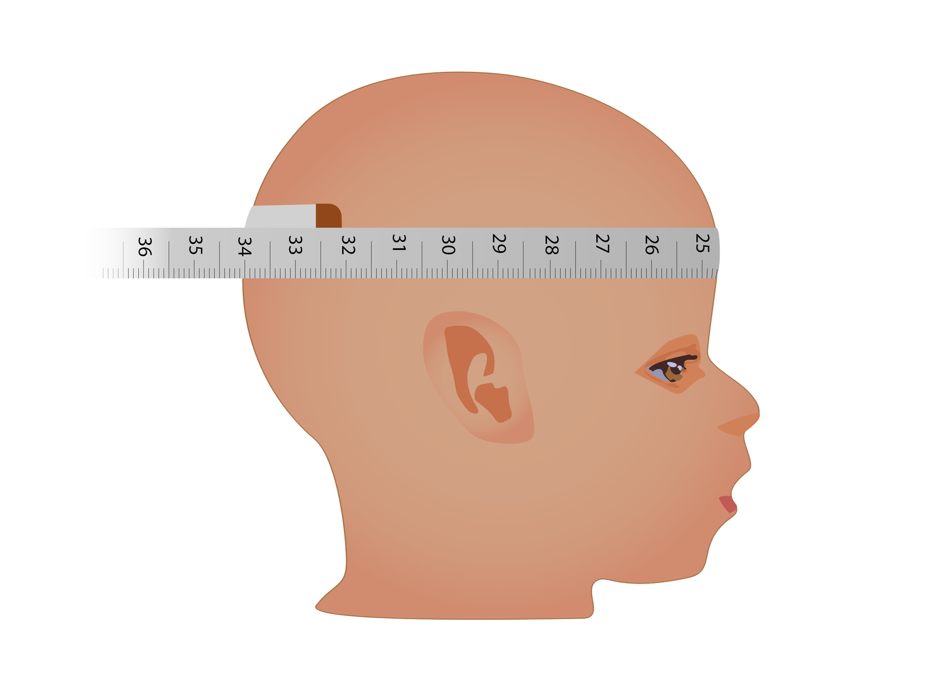 Grafika przedstawiająca pomiar obwodu czaszki dziecka. Pomiaru dokonuje się za pomocą taśmowej miarki owiniętej wokół głowy na poziomie czoła.
