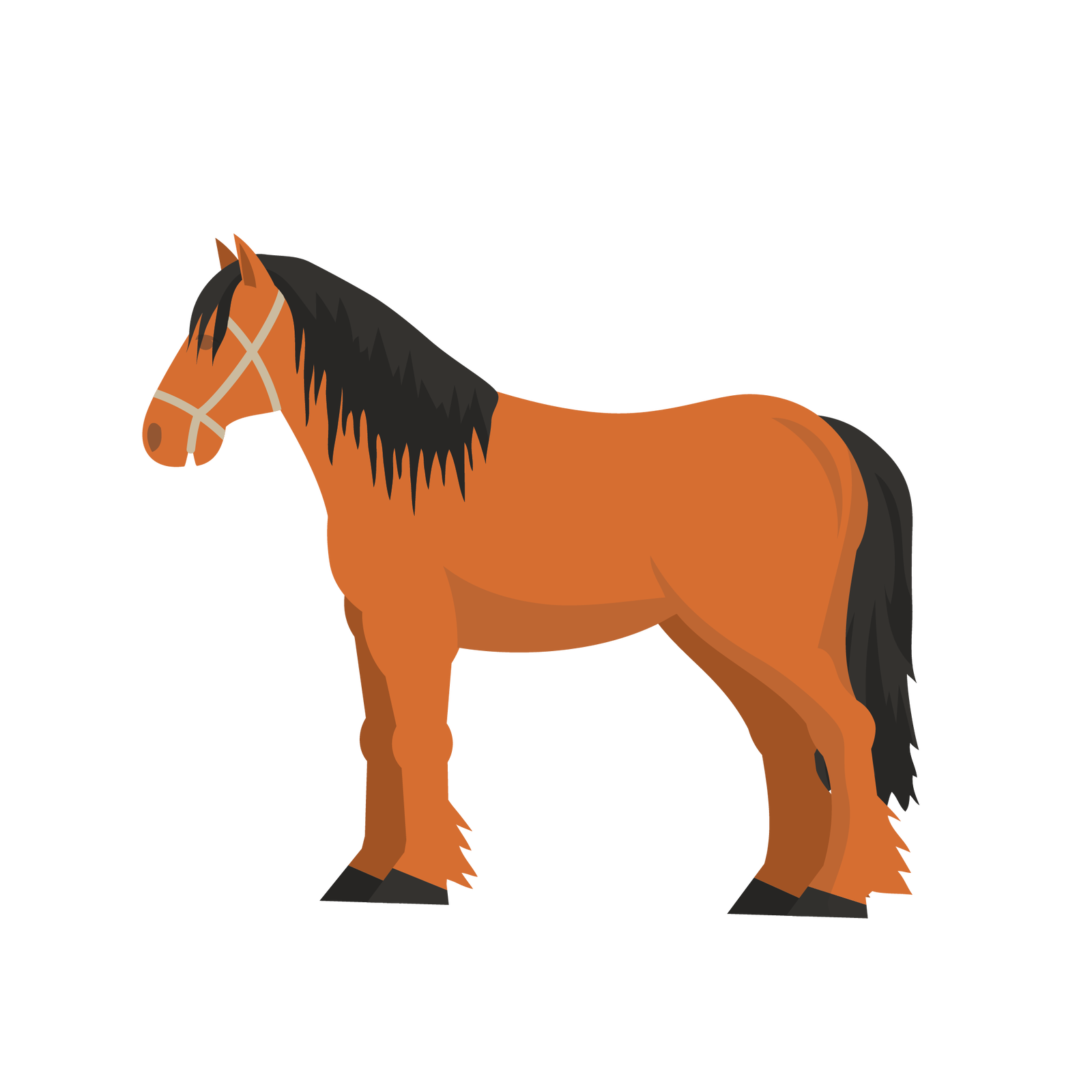 Ilustracja przedstawia konia. Jest to zwierzę, które ma ciało pokryte krótką brązową sierścią, krótkie sterczące uszy, podłużną głowę, długą ciemnobrązową grzywę, długi ciemnobrązowy ogon i cztery nogi zakończone kopytami.