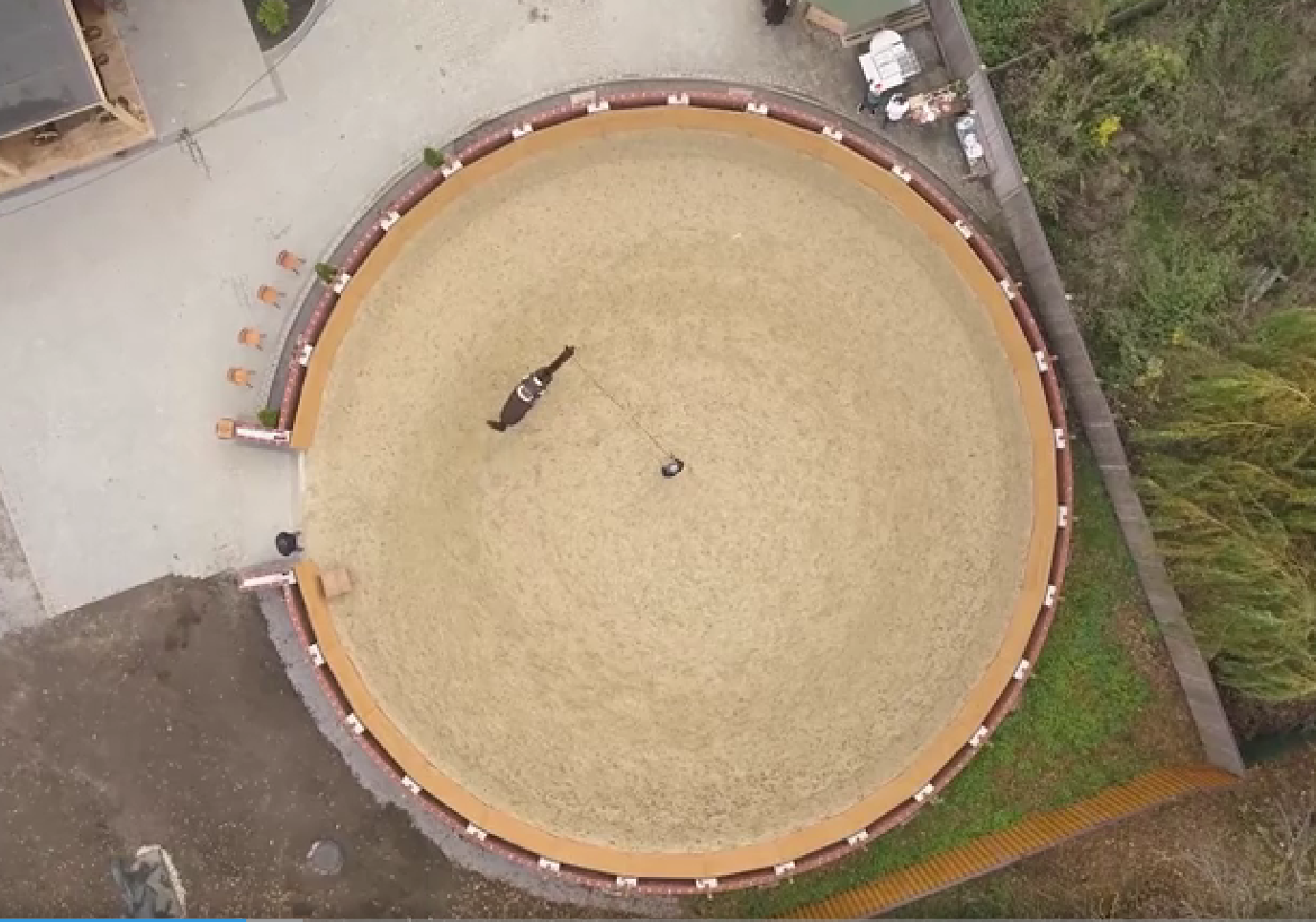 Zdjęcie wykonane z lotu ptaka przedstawia widoczny lonżownik o kształcei okręgu. W środku lonżownika znajduje się postać człowieka prowadzącego na lonży konia.