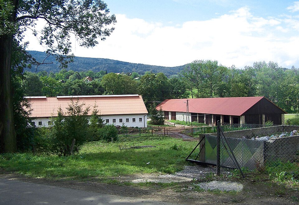 Gospodarstwo rolne PGR w Szczyrzycu. Dwa długie budynki gospodarskie: lewy pomarańczowy z białymi ścianami, prawy czerwony z szarą otynkowaną ścianą. Między nimi płot i kontener na odpady. Przed budynkami zielona trawa i kamienna droga. Tło: gęsty las liściasty na wzgórzach, błękitne niebo z białymi chmurami, duże drzewo po lewej. Typowy krajobraz rolniczy Beskidów.