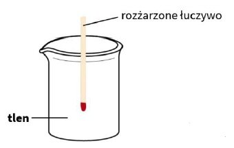 Na ilustracji znajduje się przezroczyste naczynie laboratoryjne – zlewka – ustawione pionowo. Od góry do wnętrza zlewki wprowadzony jest pionowo drewniany patyczek. Dolna część patyczka, znajdująca się wewnątrz zlewki, jest lekko zaczerwieniona – przedstawia rozżarzoną końcówkę. Wewnątrz naczynia znajduje się gaz, oznaczony napisem „tlen”. Końcówka patyczka znajduje się tuż nad dnem zlewki, a jego górna część wystaje ponad jej brzeg. Na obrazku umieszczone są dwa podpisy: przy patyczku napis „rozżarzone łuczywo”, a przy wnętrzu naczynia – „tlen”.