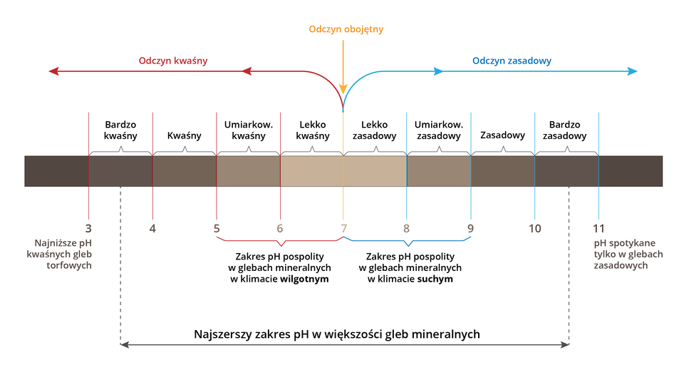 Grafika przedstawia zakres pH spotykany w większości gleb mineralnych (wg Buckmana  i Brady’ego). Odczyn kwaśny mają gleby torfowe o pH od 3 do 7, odczyn obojętny mają gleby o pH równym 7, a odczyn zasadowy gleby o pH od 7 do 11. Zakres od 5 do 7 to zakres pospolity w glebach mineralnych w klimacie wilgotnym, a zakres od 7 do 9 to zakres pospolity w glebach mineralnych w klimacie suchym. Najszerszy zakres pH w większości gleb mineralnych mieści się od 3,5 do 10,5.
