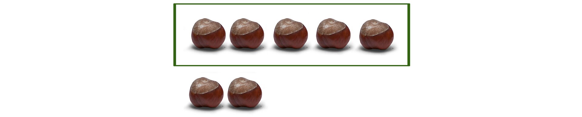 Na rysunku 7 kasztanów. Podzielono je na 1 rząd pięciu kasztanów. Zostały 2 kasztany.