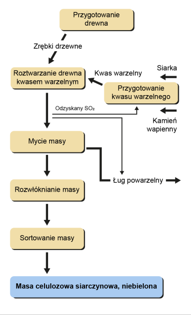 Grafika ukazuje schemat otrzymywania masy celulozowej niebielonej. Proces ten rozpoczyna przygotowanie drewna, następnie zrębki drzewne poddawane są roztwarzaniu kwasem warzelnym, który powstaje przy udziale siarki i kamienia wapiennego. Następnym etapem jest mycie masy. W procesie mycia zostaje odzyskany dwutlenek siarki, a także powstaje ług powarzelny. Kolejnym krokiem jest rozwłóknienie masy, a następnie jej sortowanie.