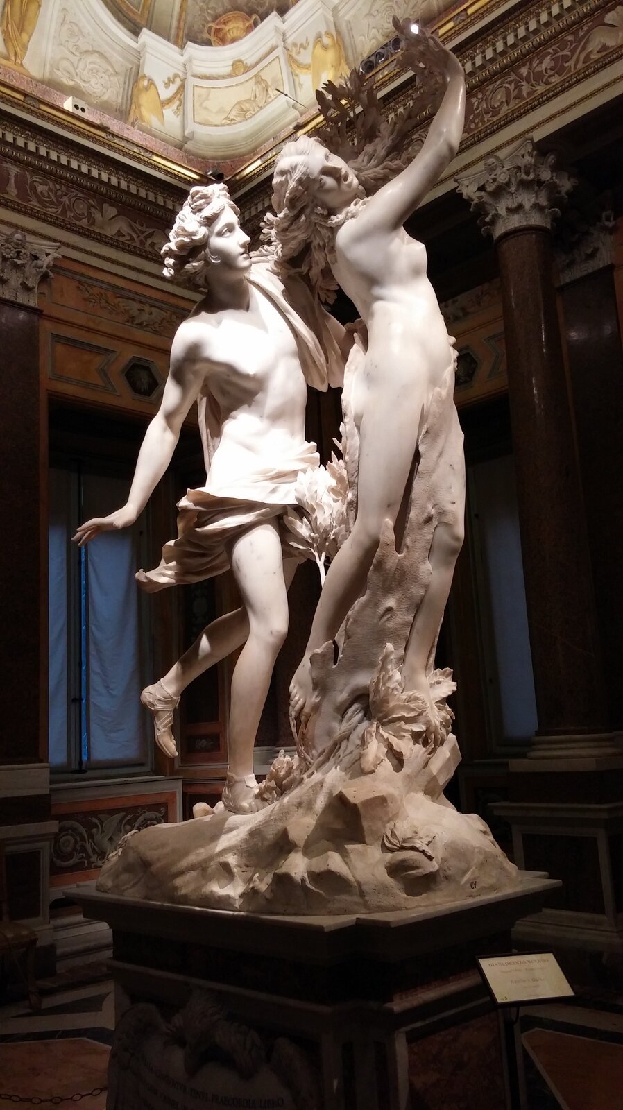 Fotografia przedstawia rzeźbę Gian Lorenzo Berninego pt. „Apollo i Dafne zmieniająca się w drzewo laurowe”. Figura składa się z dwóch części – podobizny Apolla i Dafne, która przeistacza się w drzewo. Apollo to młody szczupły mężczyzna, który ma średniej długości kręcone włosy, jest przepasany chustą, która zakrywa jego genitalia, na jego nogach widoczne są sandały. Mężczyzna z zaciekawieniem obserwuje kobietę, która zamienia się w drzewo. Dafne to naga i młoda kobieta, o długich włosach. Kobieta jest w trakcie transformacji – jej nogi zamieniają się w korę drzewną, a ręce zamieniają się w liściaste gałęzie. Kobieta jest przerażona, na jej twarzy widoczny jest ból i cierpienie. Figura Apolla i Dafne została wykonana z jasnego kamienia, i znajduje się w Sali wystawowej.