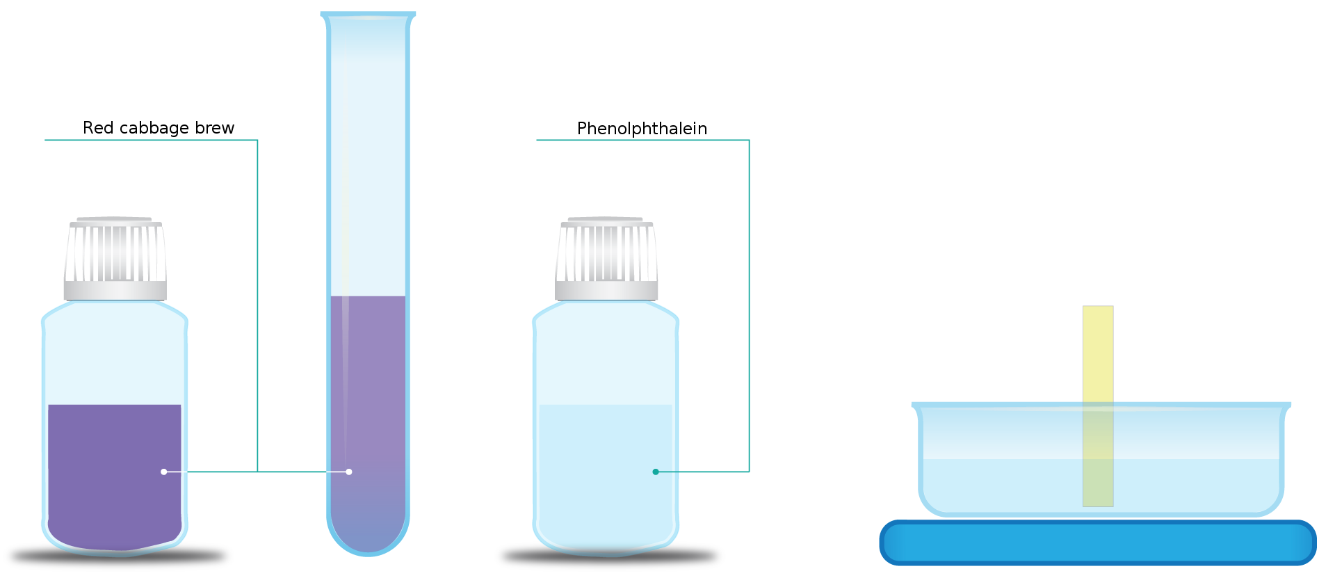 Ilustracja przedstawia butelkę z roztworem wywaru z czerwonej kapusty, red cabbage brew, butelkę z fenoloftaleiną, phenolphtalein, probówkę wypełnioną wywarem z czerwonej kapusty oraz naczynie szklane z zanurzonym papierkiem wskaźnikowym w bezbarwnej mieszaninie fenoloftaleiny i etanolu.