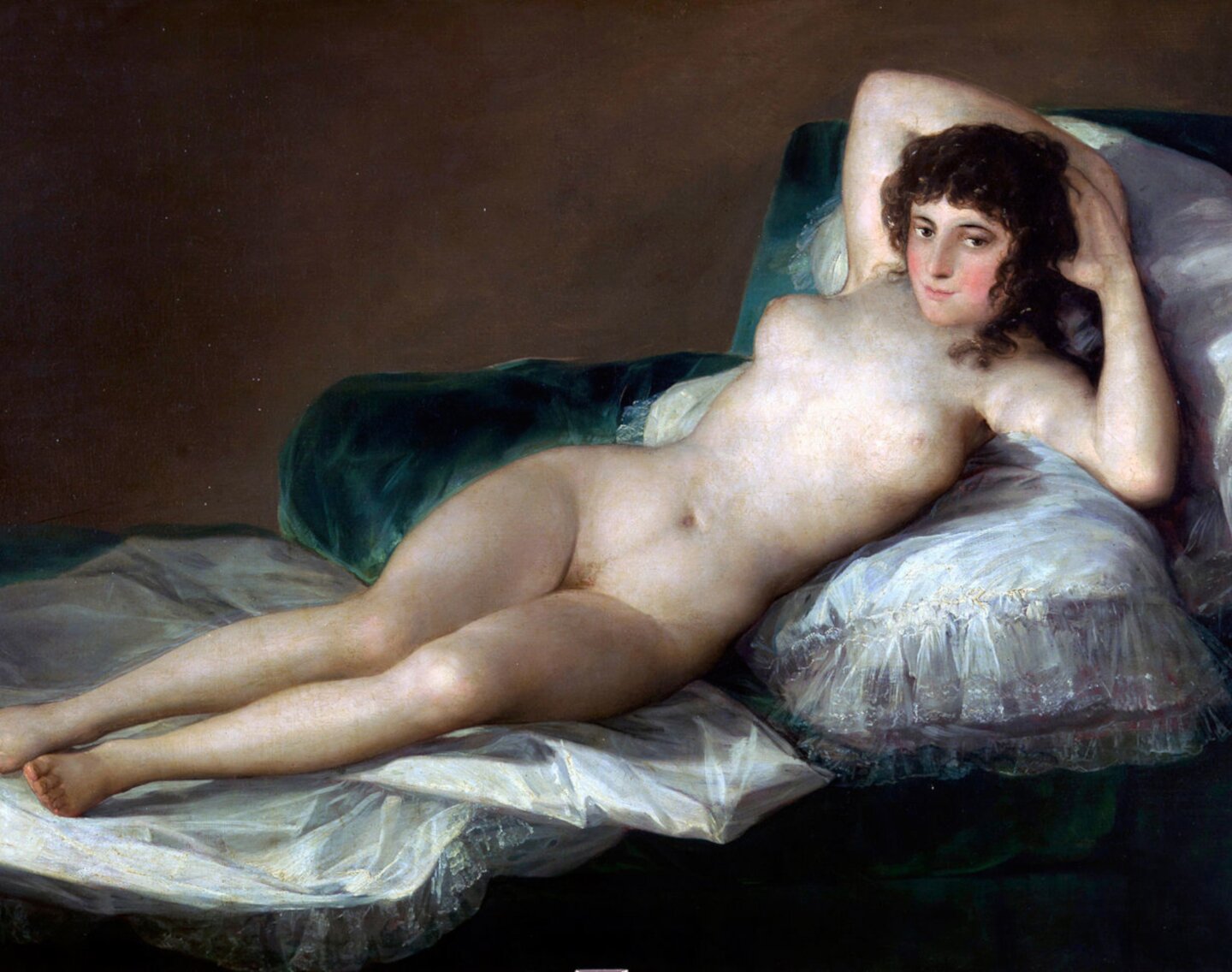 Obraz przedstawia nagą, ciemnowłosą kobietę o pełnych kształtach, która wyciągnięta leży na posłaniu. Ręce założyła pod głową, dzięki czemu obserwator widzi każdy szczegół jej ciała, również owłosienie łonowe. Kobieta patrzy lekko w bok, ale w kierunku obserwatora. Ma zaróżowione policzki, jednak nie wydaje się wstydzić.