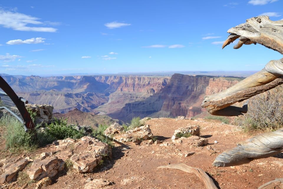 Ilustracja przedstawia fotografię krajobrazu górskiego. W kadrze znajduje się widok na odległy masyw górski oraz błękitne niebo. Na pierwszym planie znajdują się niewielkich rozmiarów kamienie oraz fragment suchego drzewa.