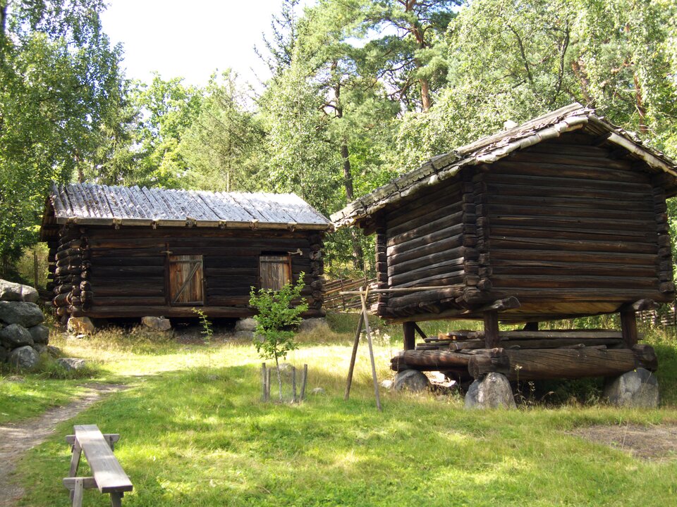 Zdjęcie przedstawia skansen. Po lewej stronie znajduje się budynek z bali przykryty dwuspadowym dachem umieszczony na osadzonych na kamieniu pionowo ustawionych kłodach. Budynek zwrócony jest bokiem do patrzącego. W głębi takie samo domostwo ustawione przodem. Jego wejście i okno zasłaniają okiennice. Do budynku prowadzi ścieżka. Po prawej stronie niewielka drewutnia i głazy. Po lewo na pierwszym planie kwadrat spulchnionej ziemi w którym rosną warzywa.