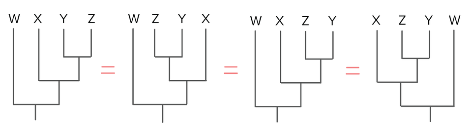 Ilustracja przedstawia drzewa pokazujące te same relacje między czterema gatunkami. Gatunki oznaczono literami W, X, Y, Z. Drzewa różnią się między sobą układem rozgałęzień. Od korzenia linia prowadzi do ostatniego wspólnego przodka W, X, Y, Z. Na pierwszym drzewie w lewo rozgałęzienie do litery W, w prawo do węzła wewnętrznego. Stamtąd w lewo do litery X, a w prawo do rozwidlenia na Y i Z. Na kolejnym drzewie w opisanym miejscu jest w prawo do litery X, a w lewo rozwidlenie na Y i Z. W kolejnym drzewie względem pierwszego opisanego drzewa zamieniono kolejność liter i jest Z oraz Y, a nie Y i Z. W ostatnim drzewie gatunek oznaczony literą W jest po prawej stronie drzewa. Rozgałęzienie z gatunkami X oraz Z i Y jest po lewej stronie. Pomiędzy drzewami są znaki równości.  