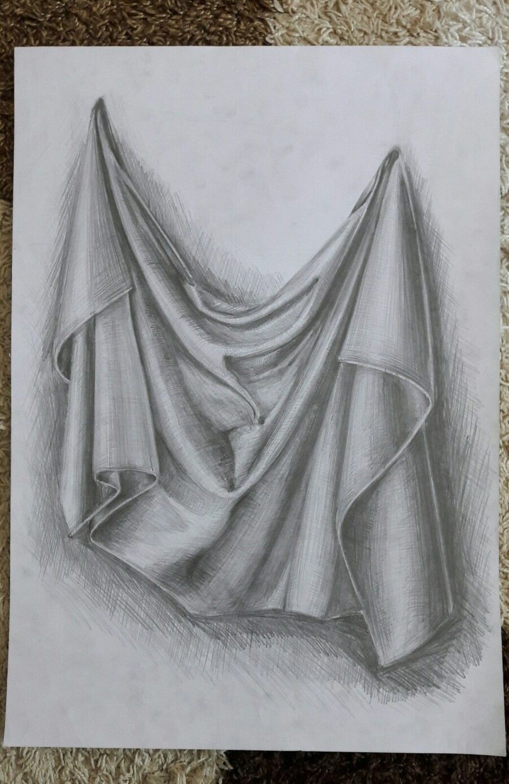 Rysunek ołówkiem przedstawia tkaninę udrapowaną na dwóch kołkach na ścianie. Draperia - to pofałdowany materiał, odpowiednio ułożony lub powieszony tak, aby widać było zagięcia materiału i padający cień. Draperie są często stosowane przez malarzy martwej natury. Są bardzo trudne do rysowania ze względu na miękkie przejścia między światłem a cieniem fałdów materiału.