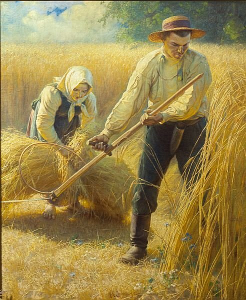 Ilustracja przedstawia mężczyznę i kobietę pracujących w polu przy ścinaniu zboża. Mężczyzna ubrany w spodnie i buty z wysokimi cholewami, koszulę i słomiany kapelusz. Rolnik trzyma w rękach kosę, którą ścina kłosy zboża. Za mężczyzną stoi pochylona kobieta, ubrana w sukienkę, fartuch, z chustką założoną na głowie i zawiązaną pod szyją. Kobieta zbiera ścięte kłosy i związuje je w snopki.