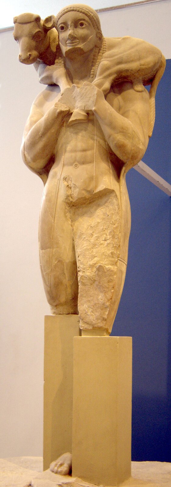 Ilustracja przedstawia marmurową rzeźbę Moschoforosa, której autorstwo przypisywane jest Fajdimiosowi. Na zdjęciu widnieje posąg brodatego mężczyzny, niosącego młodego byczka. Postać wraz z cielakiem stanowią zwartą całość. Widoczne są liczne ślady uszkodzeń. Brakuje kawałka nosa, brody, dłoni oraz lewego uda. Nie zachowała się dolna partia nóg od kolan, dlatego rzeźba umieszczona jest na dwóch postumentach imitujących brakujące elementy ciała. Między postumentami znajduje się fragment zachowanej stopy.