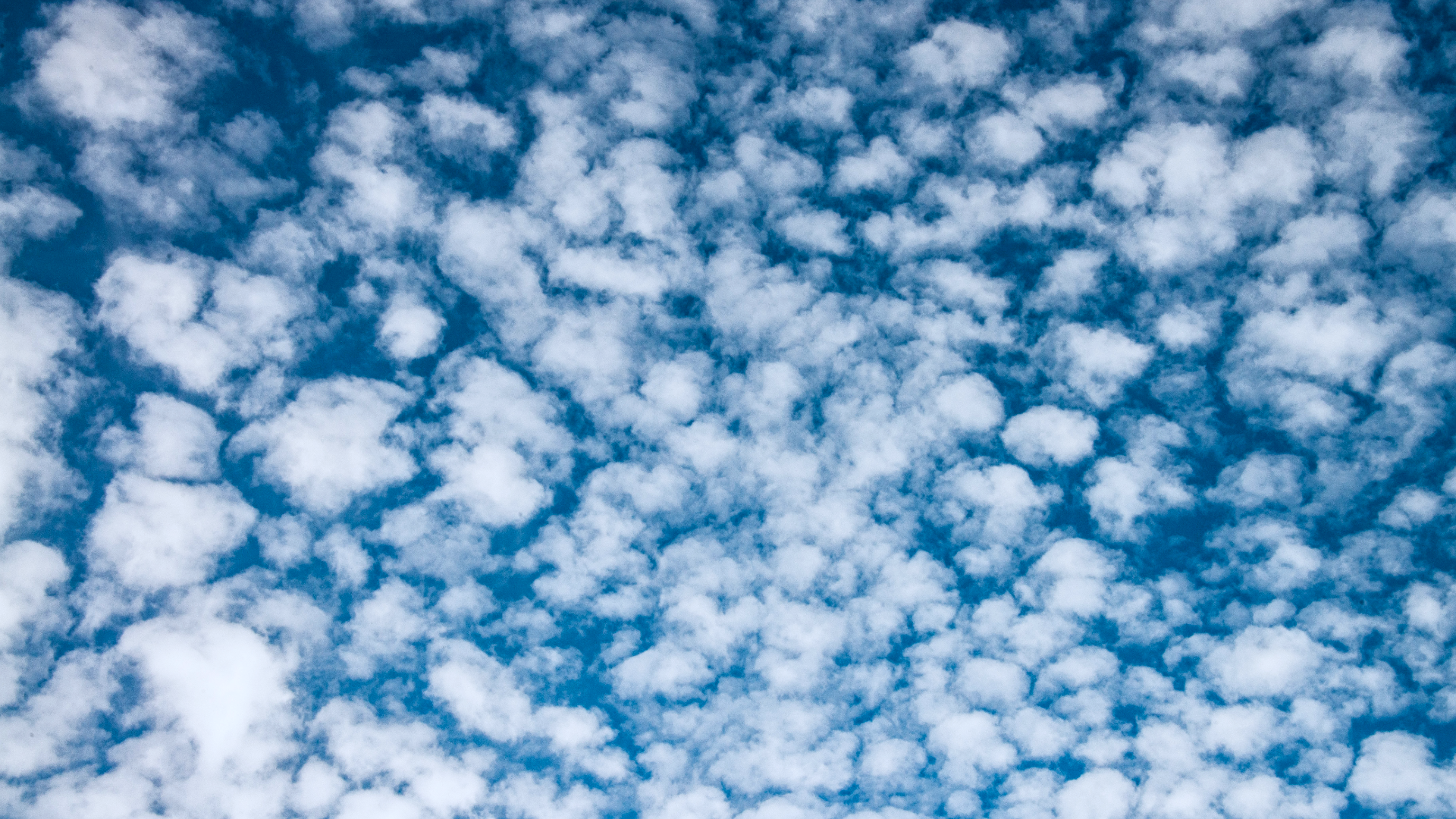 Zdjęcie wykonane z dołu przedstawia niebo, na którym znajdują się małe, ułożone obok siebie chmurki. Chmury wyglądają na niebie jak owieczki.