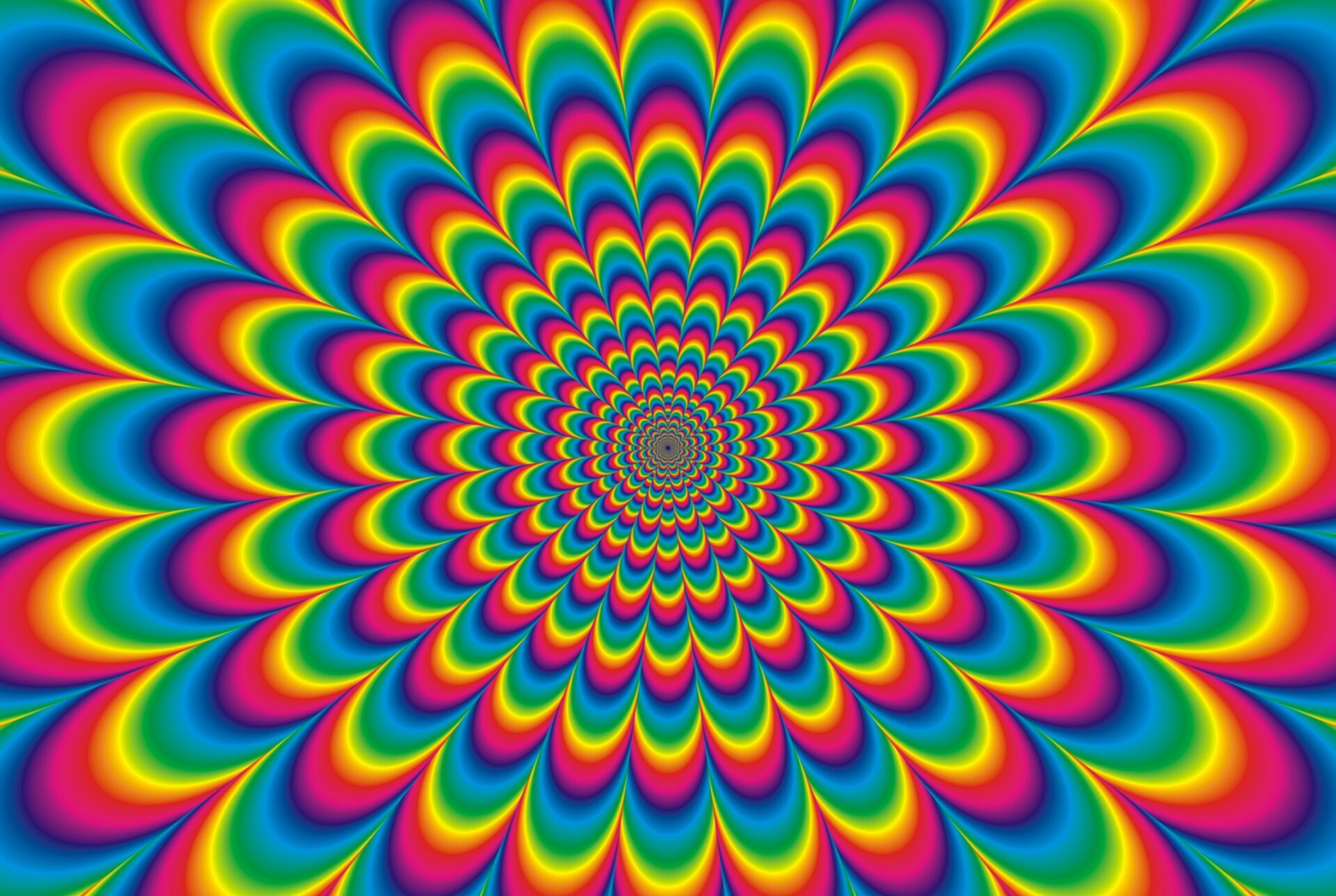 Grafika przedstawia iluzję optyczną. Składa się z elementów w tęczowych kolorach, których ułożenie przypomina wielopłatkowy kwiat. Jego środek jest jednocześnie środkiem grafiki. Zewnętrzne części kwiatu są największe i zmniejszają się ku środkowi, tworząc wrażenie tunelu. Osobie wpatrującej się w centralną część grafiki może wydawać się, że jej elementy się poruszają.