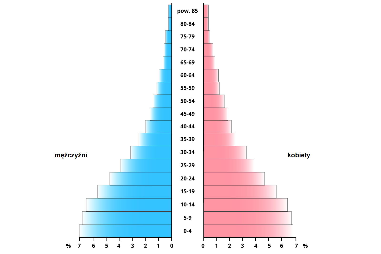 Ilustracja przedstawia piramidę wieku i płci. Piramida jest najszersza na dole w przedziale wiekowym od 0 do 4 lat, około 7 promili. Stopniowo zwęża się ku górze. 