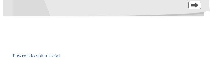 Przykładowy widok planszy interaktywnej