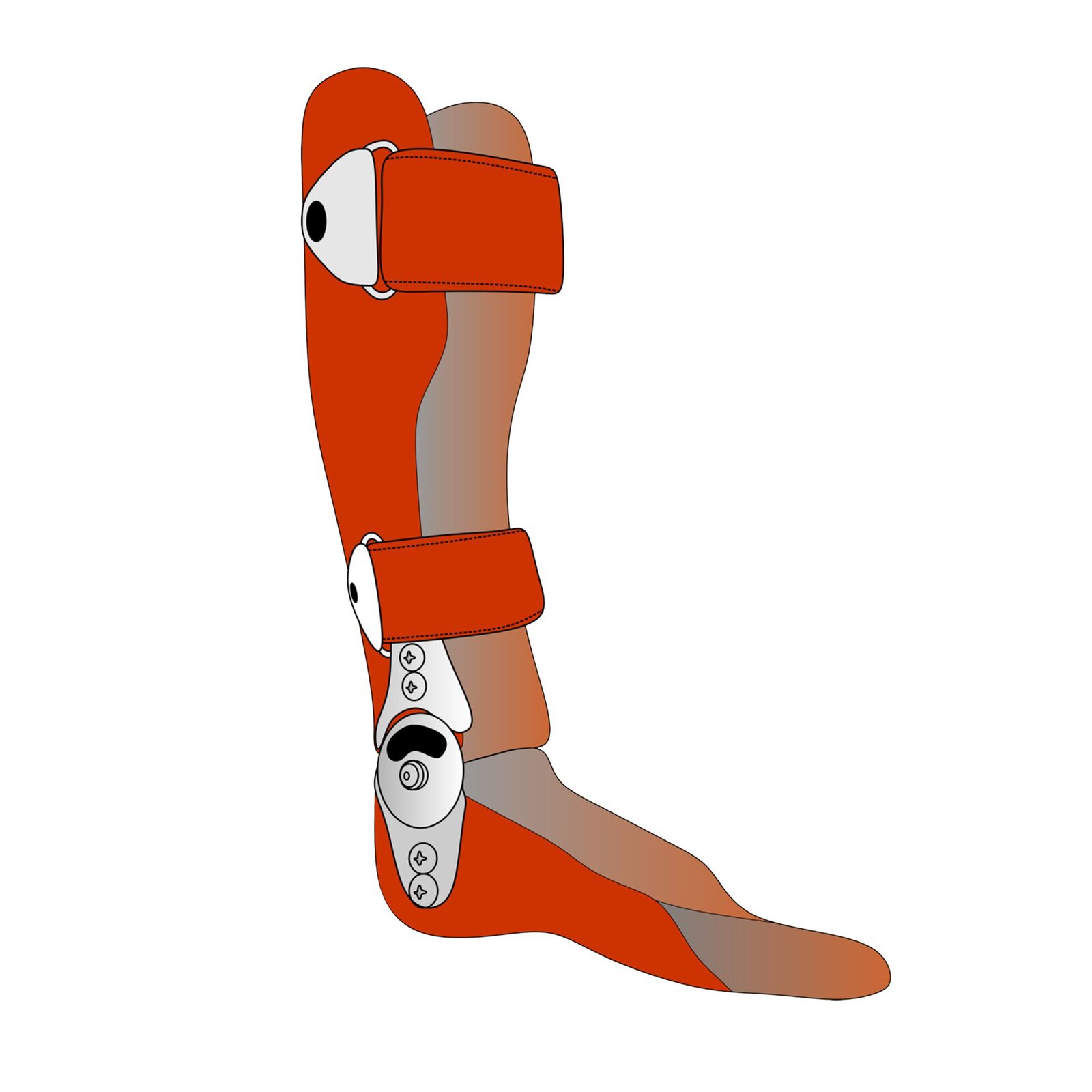 Grafika przedstawia ortezę mającą formę płaskiej podeszwy i przedłużenie wzdłuż kości piszczelowej do stawu kolanowego użytkownika. Orteza mocowana jest za pomocą dwóch rzepów: w miejscu dołu kości piszczelowej i pod stawem kolanowym pacjenta. W miejscu, w którym wypada staw skokowy użytkownika, znajduje się mechanizm umożliwiający regulację zgięcia ortezy.
