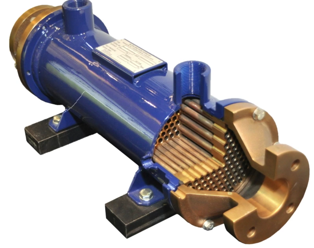 Ilustracja przedstawia podłużny walec. W przekroju poprzecznym widoczne są liczne rurki o małej średnicy.