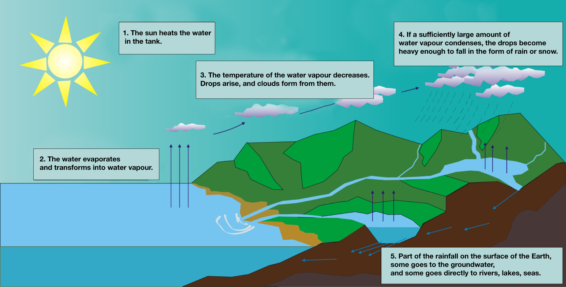 Na ilustracji schemat krążenia wody. Narysowano fragment lądu, zbiornik wodny, rzekę i jeziora, chmury i słońce. Wszystkie wody znajdujące się na powierzchni Ziemi parują, słońce je ogrzewa The sun heats the water in the tank, co oznaczono strzałkami, czyli zmieniają się w parę wodną The water evaporates and transforms into water vapour, która w atmosferze ochładza się, skrapla, by ponownie spaść na Ziemię jako opad atmosferyczny The temperature of the water vapour decreases. Drops arise, and clouds form from them, co również oznaczono na rysunku. Woda, która spada na powierzchnię Ziemi w postaci deszczu lub śniegu spływa do najbliższej rzeki (a dalej do morza) If a sufficently large amount of water vapour condenses, the drops become heavy enough to fall in the form of rain or snow, a także wsiąka w glebę, zasilając wody podziemne. Spod ziemi wypływa na powierzchnię jako źródło dające początek rzece, która wpada do innej, większej lub do jezior i mórz Part of the rainfall on the surface of the Earth, some goes to the groundwater, and some goes directly to rivers, lakes, seas. 