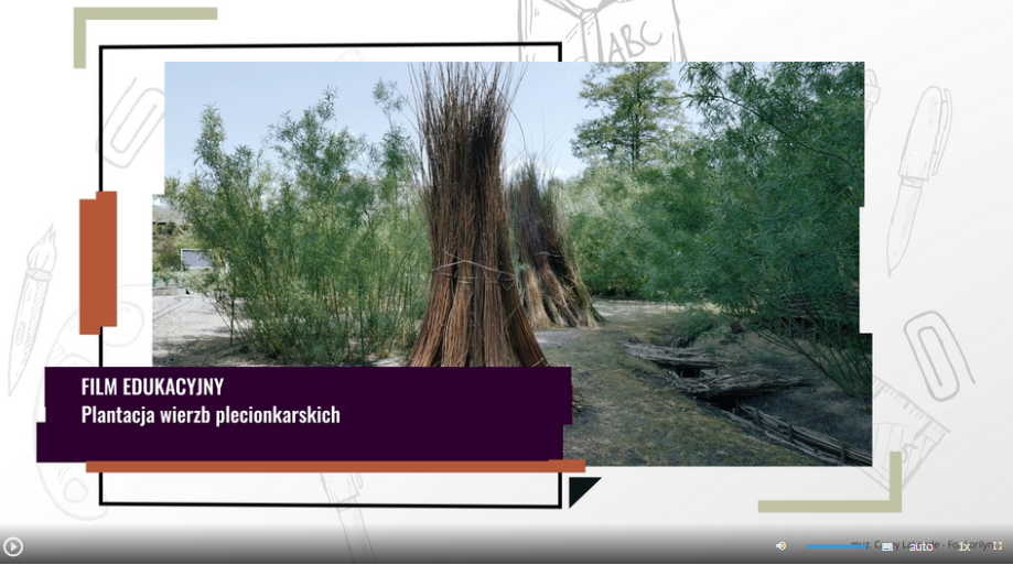 Przykładowy wygląd ekranu startowego filmu