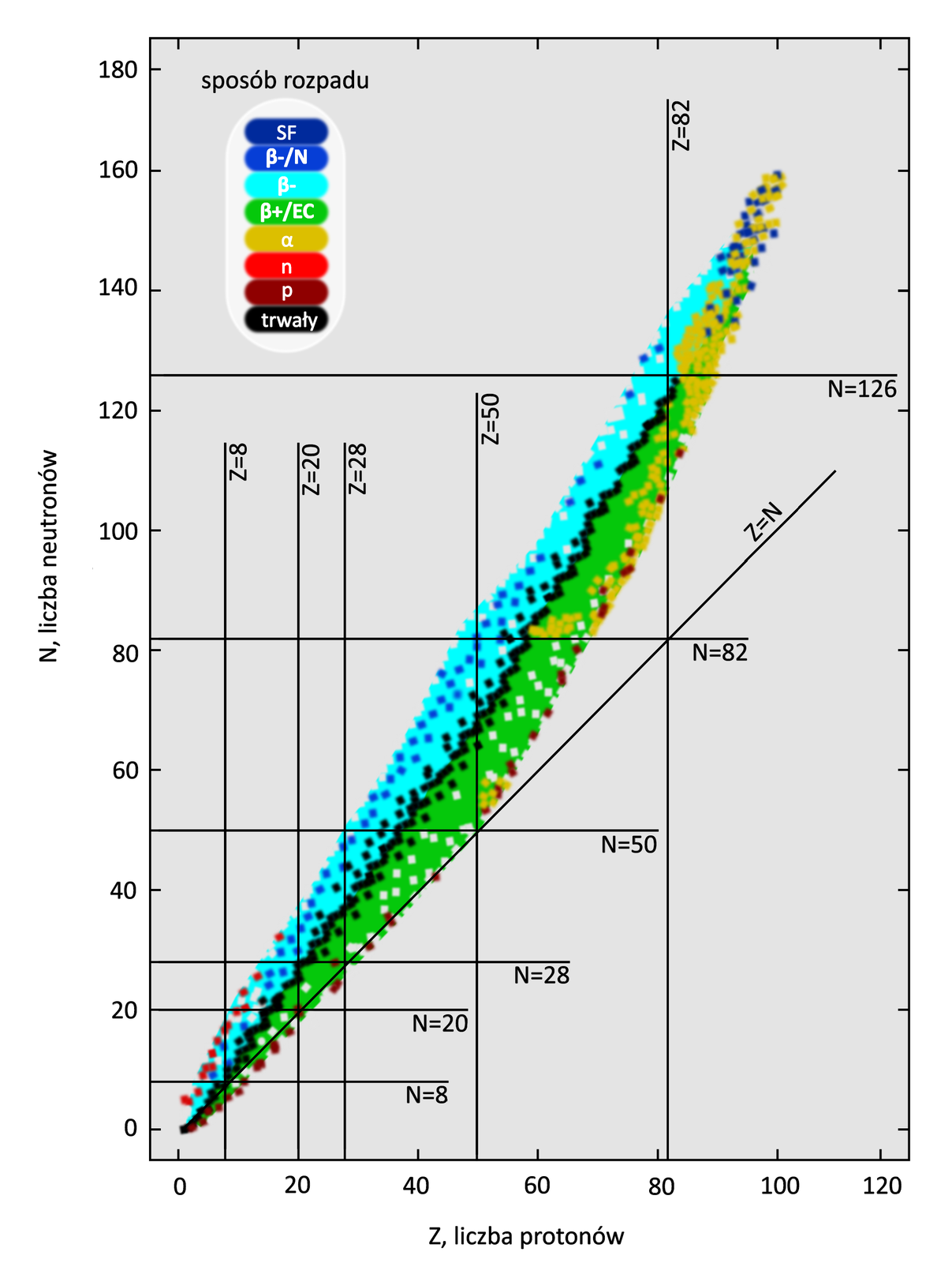 Wykres zależności liczby neutronów N=A minus Z (oś Y) od liczby atomowej Z (oś X). Na osi X są wartości od zera do stu czterdziestu, na osi Y od zera do stu dwudziestu. Wykres przedstawia krzywą, która biegnie pod kątem 45 stopni do osi X. Krzywa jest opisana jako N=Z. Od linii prostej odchyla się zygzakowata linia przerywana.