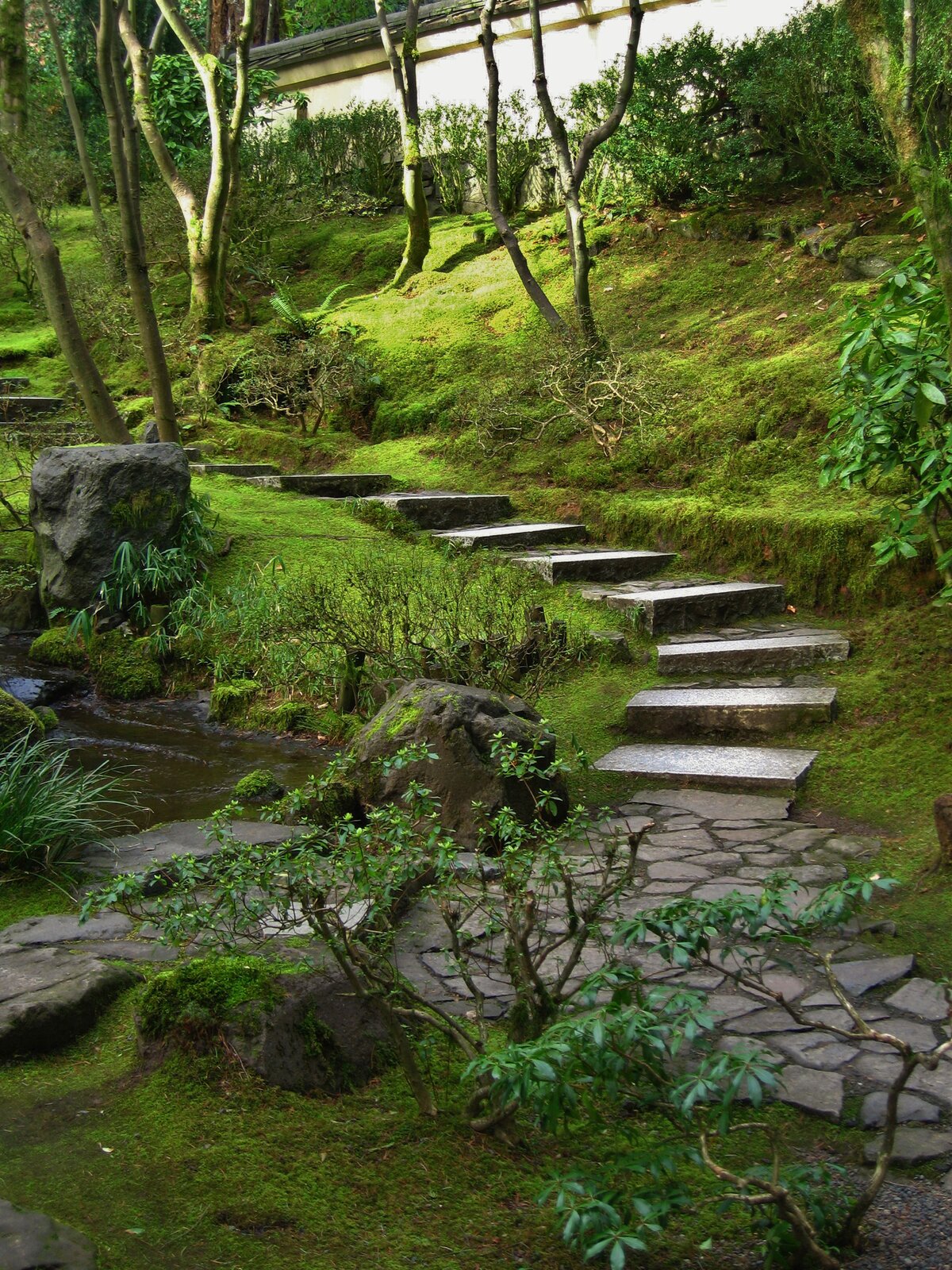 Fotografia przedstawiająca fragment ogrodu japońskiego. W centralnej części fotografii, pośród drzew i krzewów widoczne są kręte, kamienne schody oraz ścieżka. Z lewej strony widoczna sadzawka. Wokół ścieżki i schodów rośnie gęsty mech.