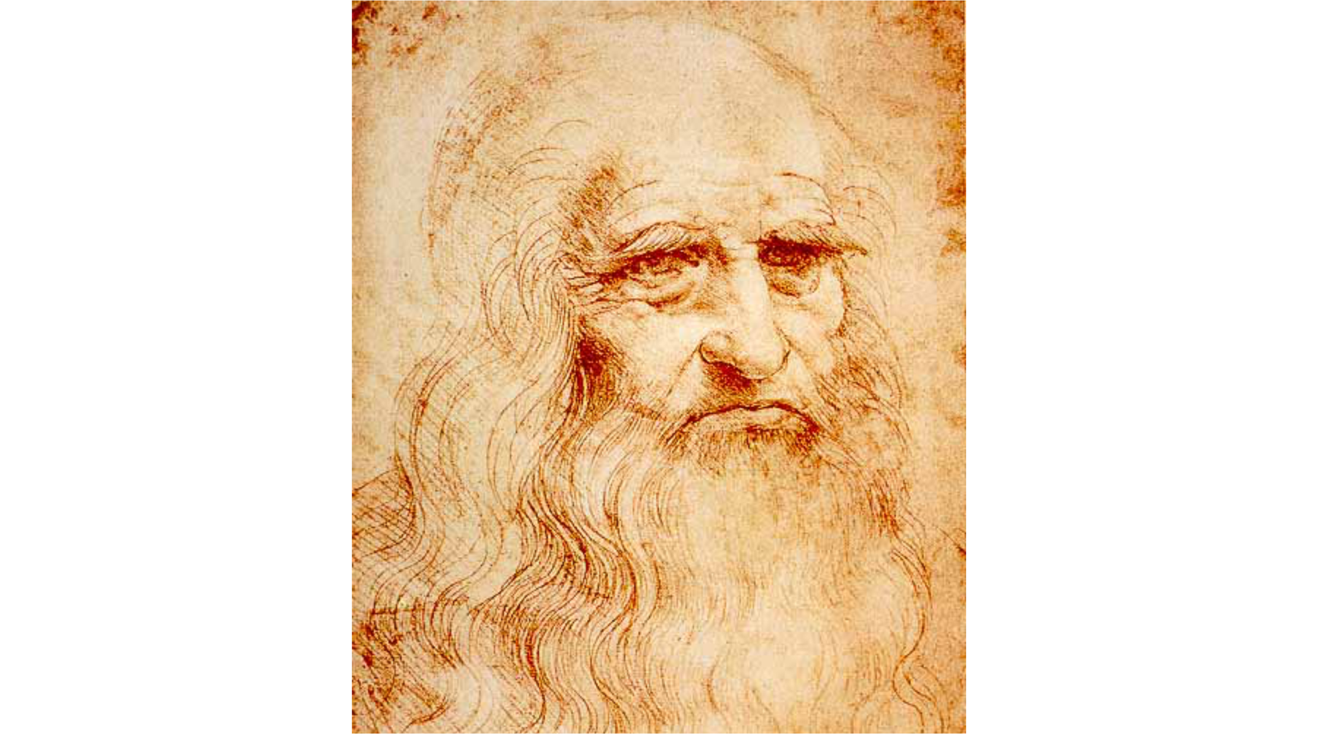 Ilustracja przedstawia autoportret Leonardo da Vinci. Na ilustracji widoczna jest twarz starego mężczyzny. Mężczyzna jest łysy na czubku głowy, a po bokach ma długie włosy. Mężczyzna nosi długą brodę.