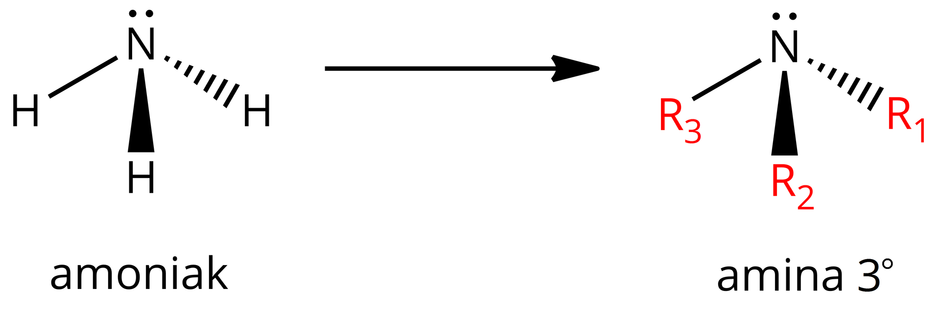 Ilustracja przedstawia następujący schemat: po lewej stronie cząsteczka amoniaku: atom azotu z jedną wolna parą elektronową w formie pary kropek i trzema wiązaniami pojedynczymi do atomów wodoru: to najbardziej na lewo jest ciągłą linią, środkowe jest czarnym trójkątem z wierzchołkiem skierowanym w stronę atomu azotu, a trzecie wiązanie jest trójkątem narysowanym przerywanymi liniami, z wierzchołkiem skierowanym w stronę atomu azotu. Po prawej stronie pozioma strzałka w prawo, za strzałką wzór aminy drugorzędowej: atom azotu z jedną wolna parą elektronową w formie pary kropek i trzema wiązaniami pojedynczymi: to najbardziej na lewo do grupy R3 jest ciągłą linią, środkowe do grupy R2 jest czarnym trójkątem z wierzchołkiem skierowanym w stronę atomu azotu, a trzecie do grupy R1 wiązanie jest trójkątem narysowanym przerywanymi liniami, z wierzchołkiem skierowanym w stronę atomu azotu