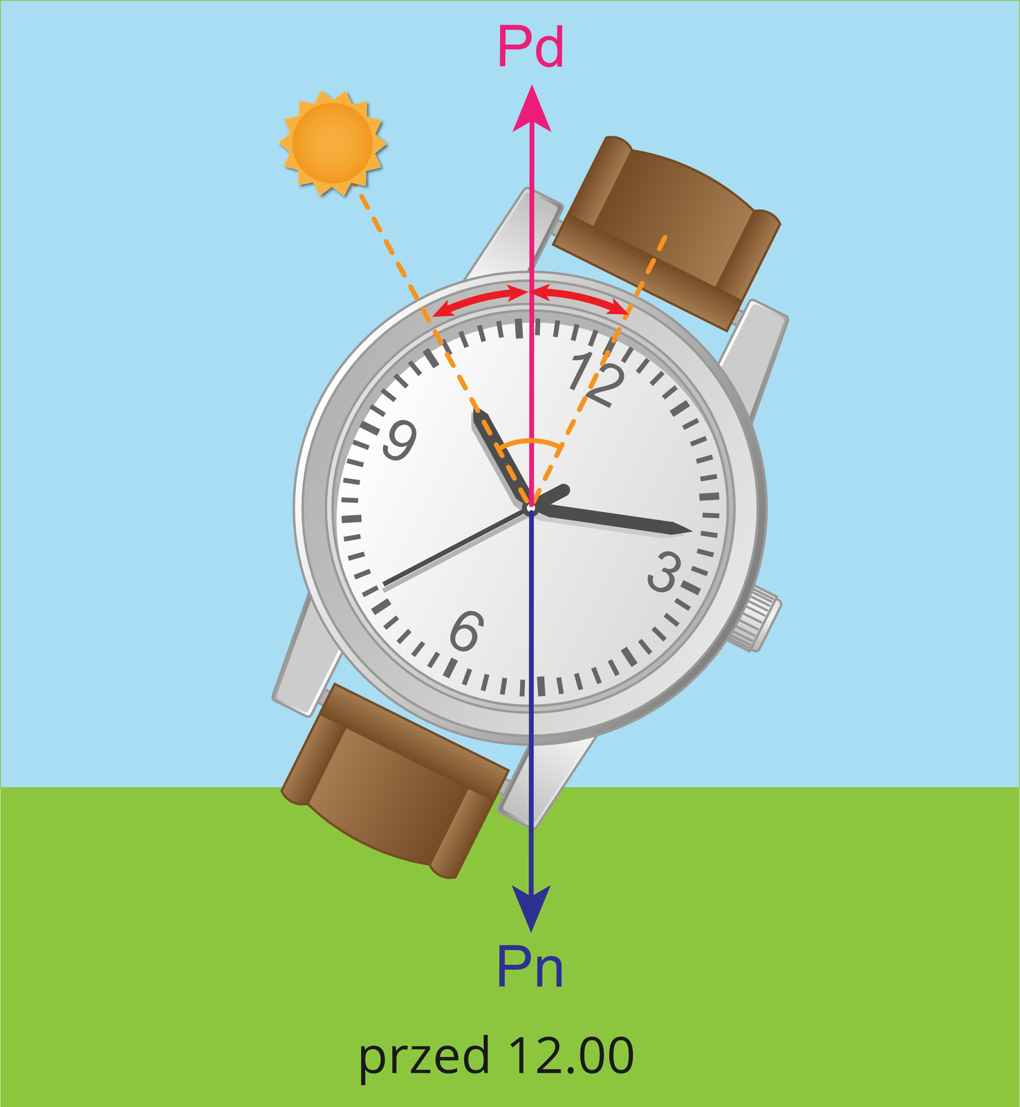 Na ilustracji widnieje wyznaczanie kierunku świata za pomocą Słońca i zegarka wskazówkowego z brązowym paskiem i srebrną tarczą. Na pierwszym obrazku zaprezentowano wyznaczanie kierunku południowego z użyciem zegarka wskazówkowego przed godziną dwunastą. Należy skierować krótszą wskazówkę w stronę Słońca. Kąt pomiędzy tą wskazówką a godziną dwunastą należy podzielić na pół. Linia ta wyznacza kierunek północny.