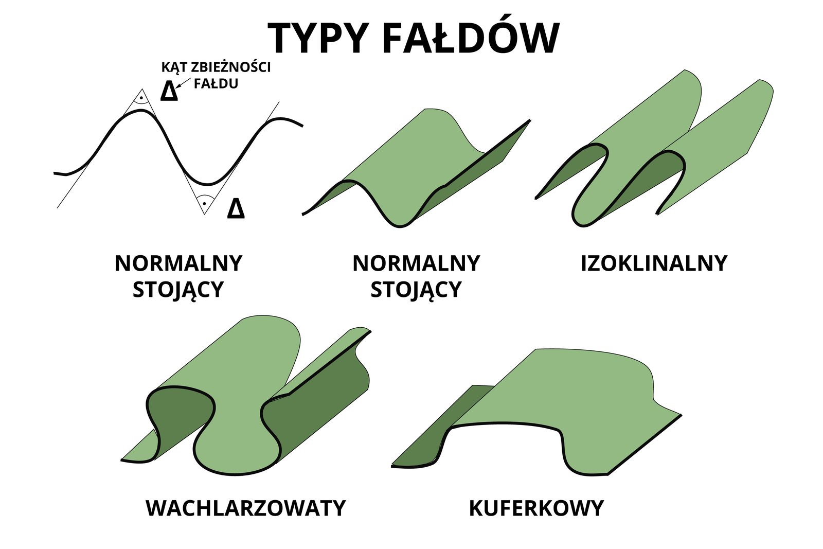 Ilustracja pokazuje cztery rodzaje fałdów i wykres kątu zbieżności fałdu. Pierwszy od góry jest wykres. Przedstawia podwójną sinusoidę. Na niej zaznaczone są kąty proste. Obok kątów prostych są małe trójkąty podpisane jako kąt zbieżności fałdu. Następnie obok znajduje się schemat przedstawiający fałd, jako zielony płaski prostokąt równomiernie, łagodnie pofalowany. Podpisany jest „normalny stojący”. Na kolejnym przykładzie widzimy fałdy dość wysokie i wąskie, skierowane lekko w prawą stronę. Podpisany jest: izoklinalny. Na dole od lewej strony jest przykład z dwoma pofalowaniami. Fałdy są dość szerokie, rozszerzają i spłaszczają się przy wierzchołkach. Przykład podpisany jest jako: wachlarzowaty. Ostatni przykład to pojedynczy bardzo szeroki i spłaszczony fałd podpisany jako: kuferkowy.