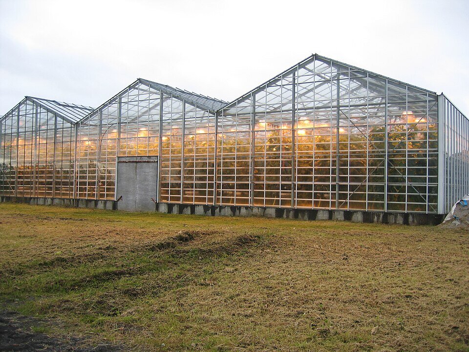 Zdjęcie przedstawia szklarnię z zewnątrz. W środku szklarni palą się światła na całej jej długości. 