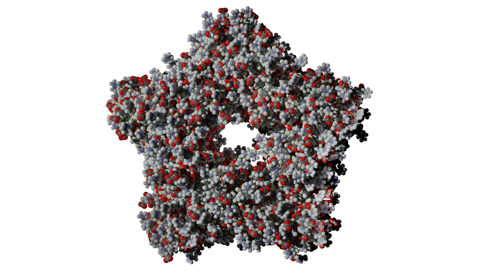 Ilustracja przedstawia małe czerwone, szare i czarne kulki zbite w kształt przypominający pięcioramienną gwiazdę z otworem w środku.   