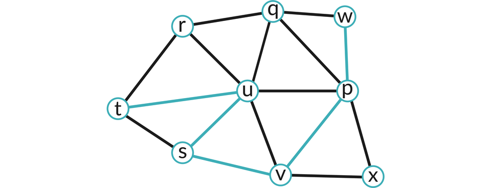 Ilustracja przedstawia graf połączonych liter: u, q, r, t, s, v, p, x, w.  Proste łączące litery t, u, s, v, p  są koloru niebieskiego.