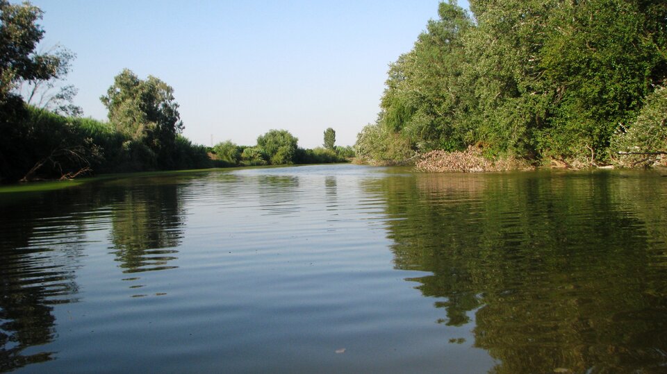 Zdjęcie zrobione z poziomu rzeki. Woda spokojna, odbijająca drzewa. Brzegi po obu stronach porośnięte zielenią. W tle błękitne niebo i dalsze partie doliny. Barwy naturalne, dominują zielenie i błękity.