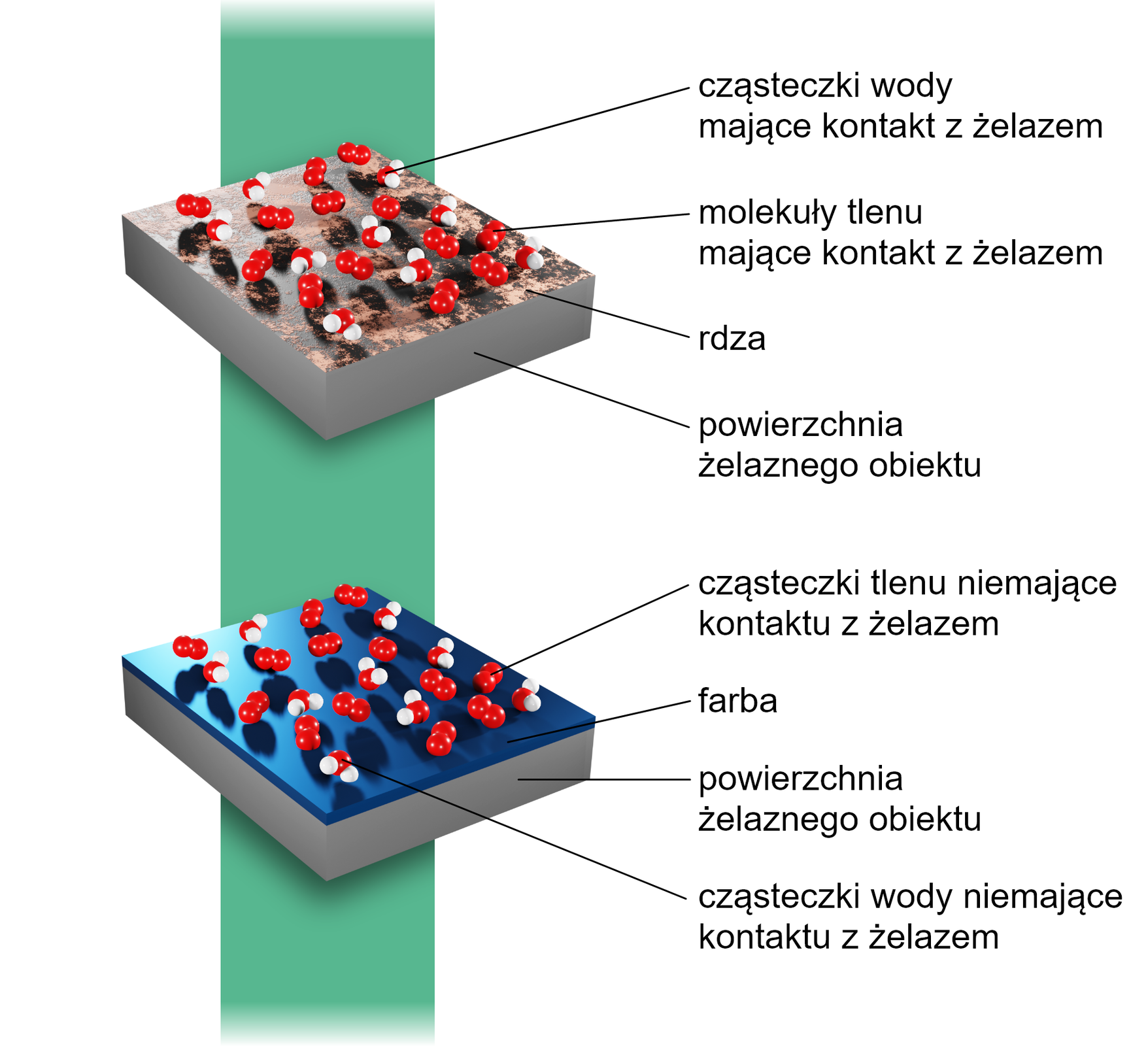 Ilustracja przedstawia dwa schematy przedstawiające odpowiednio korozję oraz powstrzymywanie korozji metalu. Schemat pierwszy. Na obrazku znajduje się gruby blok żelaznego materiału, na którego powierzchni znajduje się rdza. Za pomocą modelu kulkowego na rdzy pokazano cząsteczki wody mające kontakt z żelazem, to jest dwie białe kulki połączone z jedną, większą czerwoną, a także cząsteczki tlenu również mające kontakt z żelazem, dwie połącz0one ze sobą czerwone kulki. Poniżej znajduje się gruba. Schemat drugi. Szara warstwa żelaza pokryta jest niebieską farbą, na której również znajdują się cząsteczki tlenu oraz wody, które dzięki obecności farby nie mają kontaktu z cząsteczkami żelaza, dlatego nie powstaje rdza. Nad nią znajduje się warstwa niebieskiej farby. Nad warstwą farby znajdują się liczne modele kulkowe cząsteczek wody i tlenu, kulki połączone są grubymi liniami odzwierciedlającymi wiązania, kulki opisano: cząsteczki wody i molekuły tlenu niemające kontaktu z żelazem. 