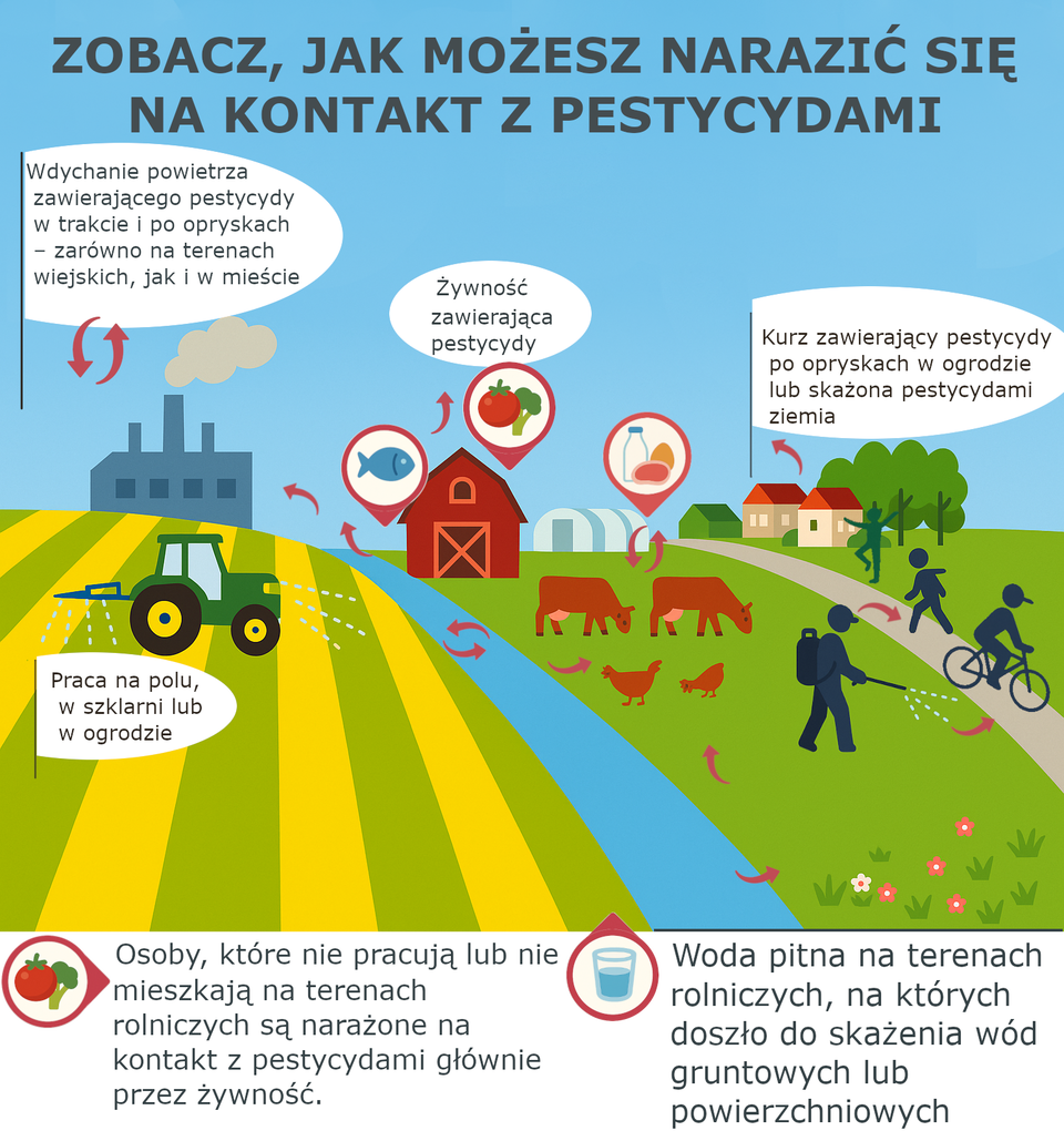 Ilustracja przedstawia, jak można narazić się na kontakt z pestycydami. Jest to praca na polu, w szklarni lub w ogrodzie. Wdychanie powietrza zawierającego pestycydy w trakcie i po opryskach zarówno na terenach wiejskich jak i w mieście. Żywność zawierająca pestycydy. Kurz zawierający pestycydy po opryskach w ogrodzie lub skażona pestycydami ziemia. Woda pitna na terenach rolniczych, na których doszło do skażenia wód gruntowych lub powierzchniowych. Osoby, które nie pracują lub nie mieszkają na terenach rolniczych są narażone na kontakt z pestycydami głównie przez żywność.