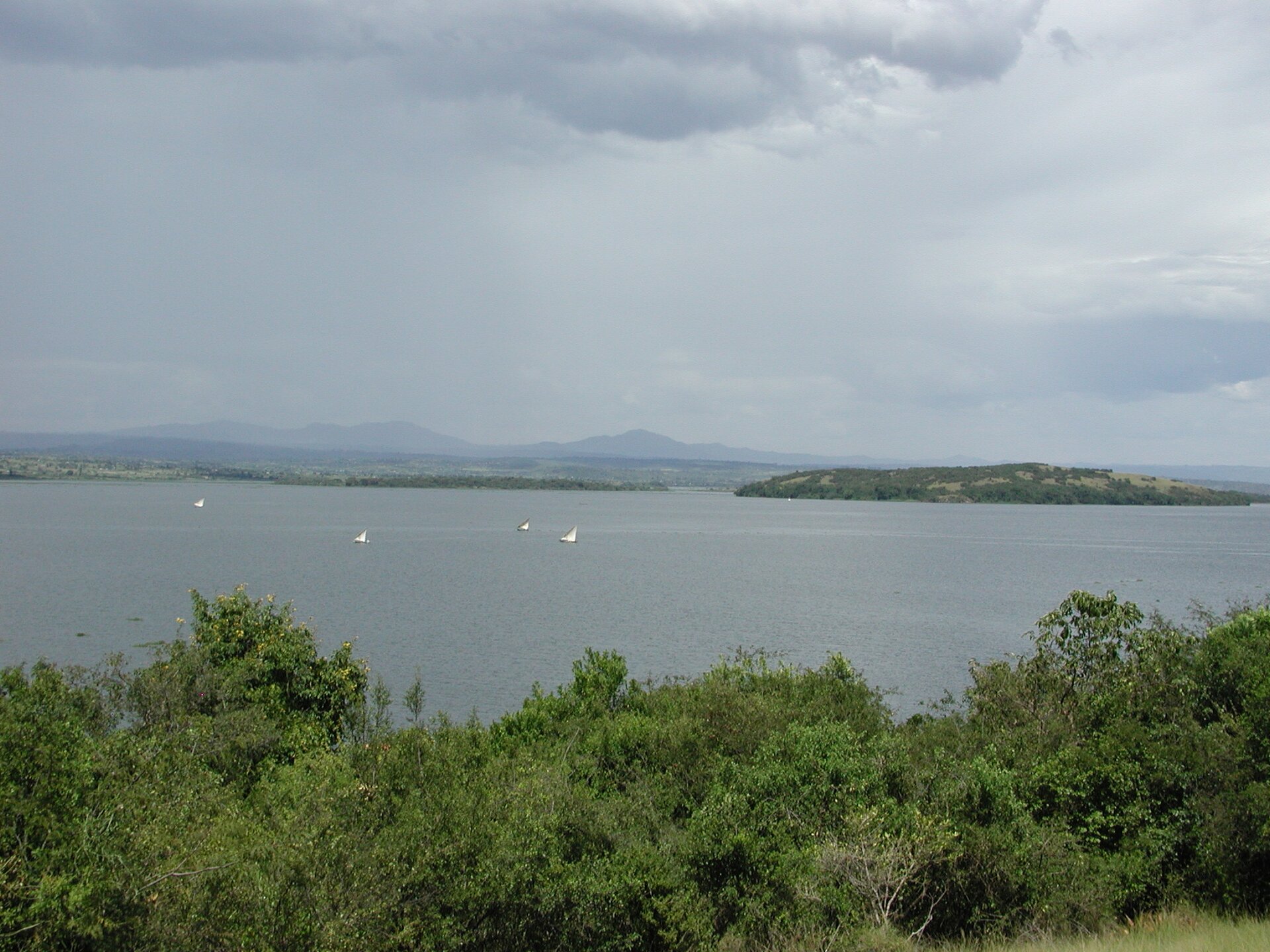 Fotografia. Na niej duży i rozległy zbiornik wodny. Na jego brzegach krzewy. W oddali łańcuchy górskie. 