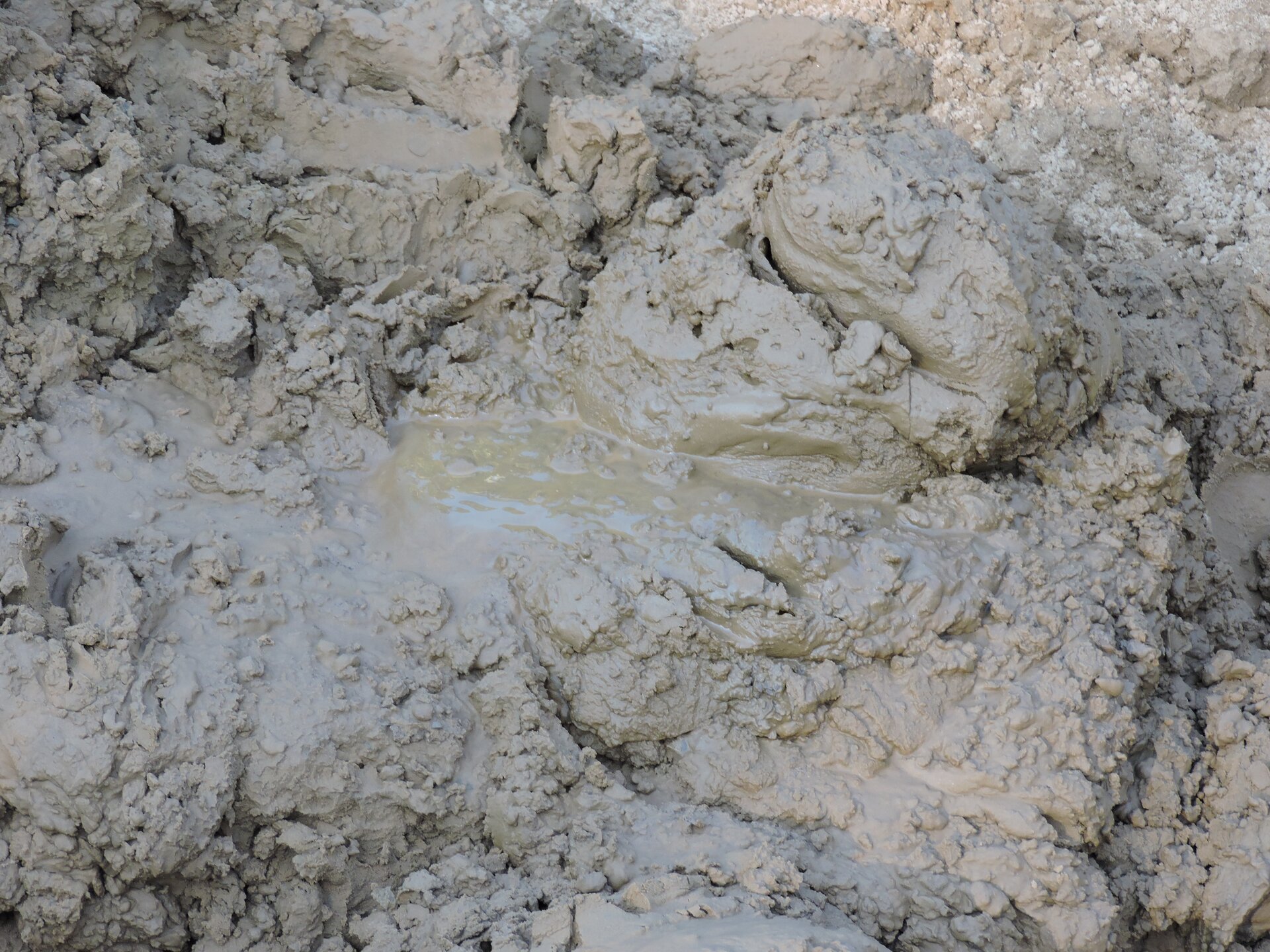 Fotografia kleistego iłu przypominającego gęste błoto.