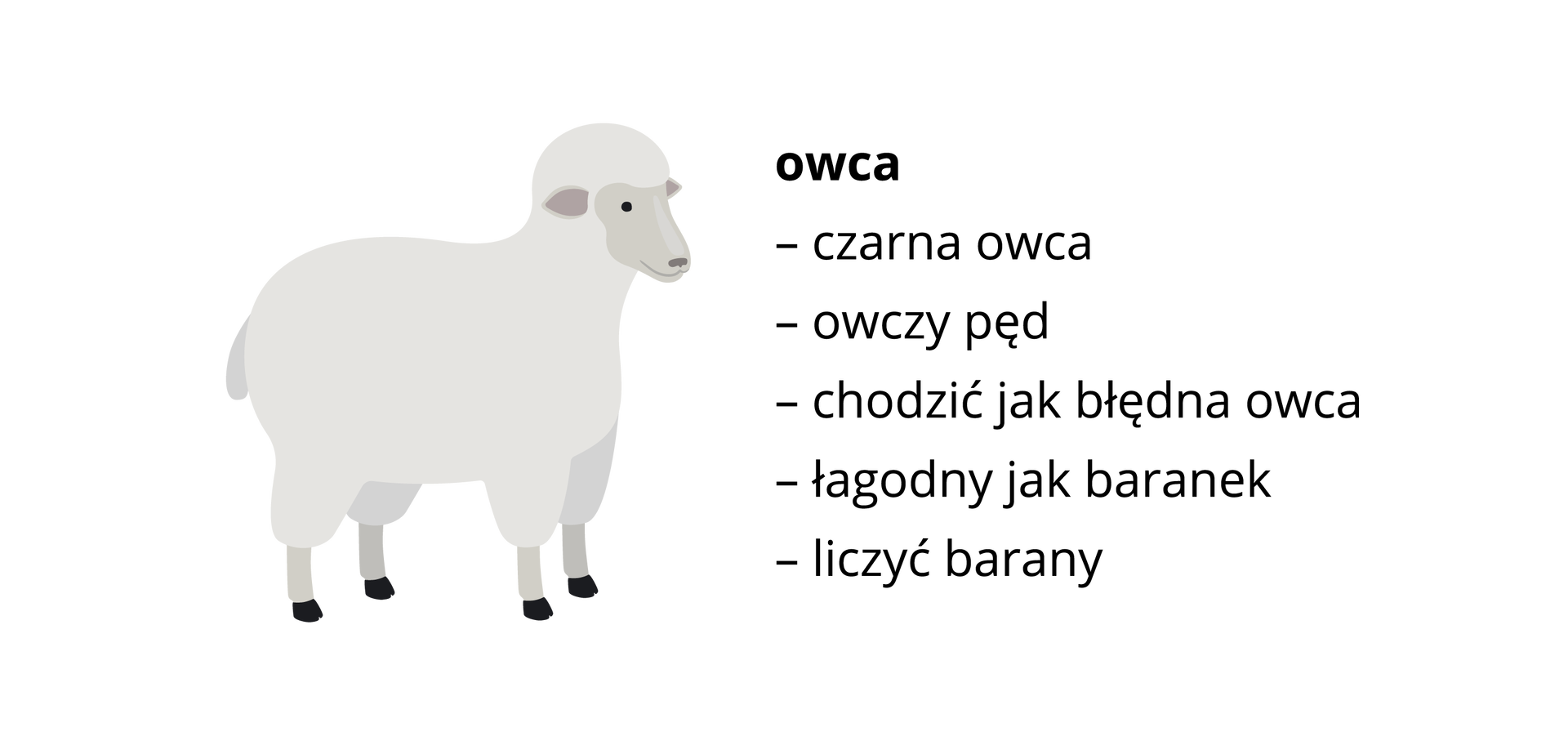 Ilustracja przedstawia owcę. Obok wypisane są związki frazeologiczne: owca: czarna owca, owczy pęd, chodzić jak błędna owca, łagodny jak baranek, liczyć barany.