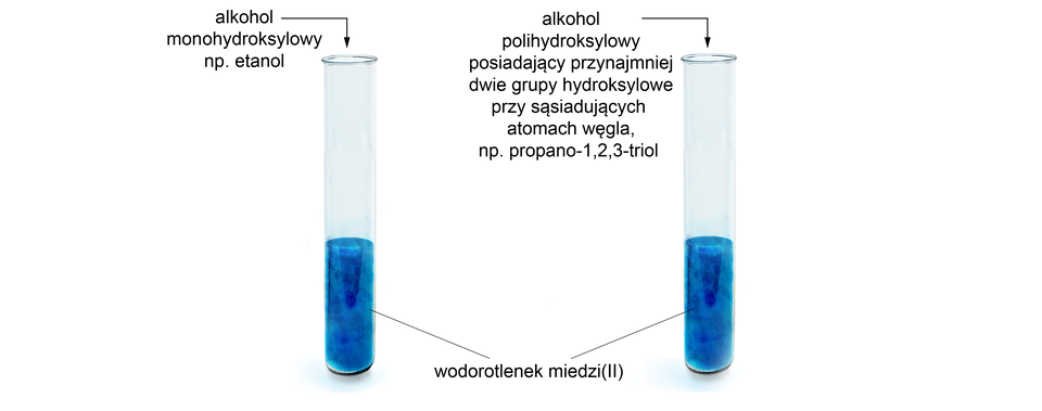 Na ilustracji są dwie probówki. W każdej z nich jest wodorotlenek miedzidwa. Do probówki po lewej stronie dodano alkohol monohydroksylowy, na przykład etanol. Do drugiej probówki dodano alkohol polihydroksylowy posiadający przynajmniej dwie grupy hydroksylowe przy sąsiadujących atomach węgla, na przykład propano-jeden,dwa,trzy-triol. Zawartość probówek jest ciemnoniebieska. 