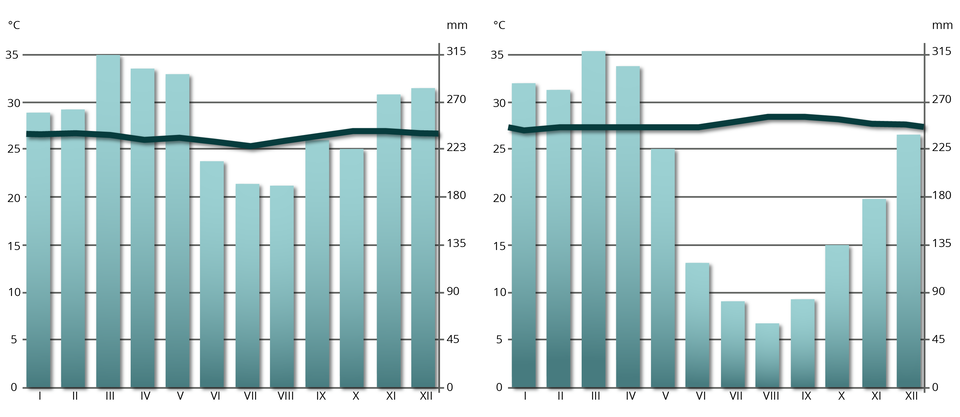 Pierwszy klimatogram przedstawia Iquitos w Peru. Najwyższe opady występują w marcu i wynoszą ok 315 mm a najniższe występują w lipcu i sierpniu i wynoszą około 180 mm. Temperatura przez wszystkie miesiące jest stała i wynosi około 25 stopni Celsjusza. Drugi klimatogram przedstawia Manaus w Brazylii. Najwyższe opady występują w marcu i wynoszą około 315 mm a najniższe w sierpniu i wynoszą około 50 mm. Temperatura przez wszystkie miesiące jest stała i wynosi około 26 stopni Celsjusza.