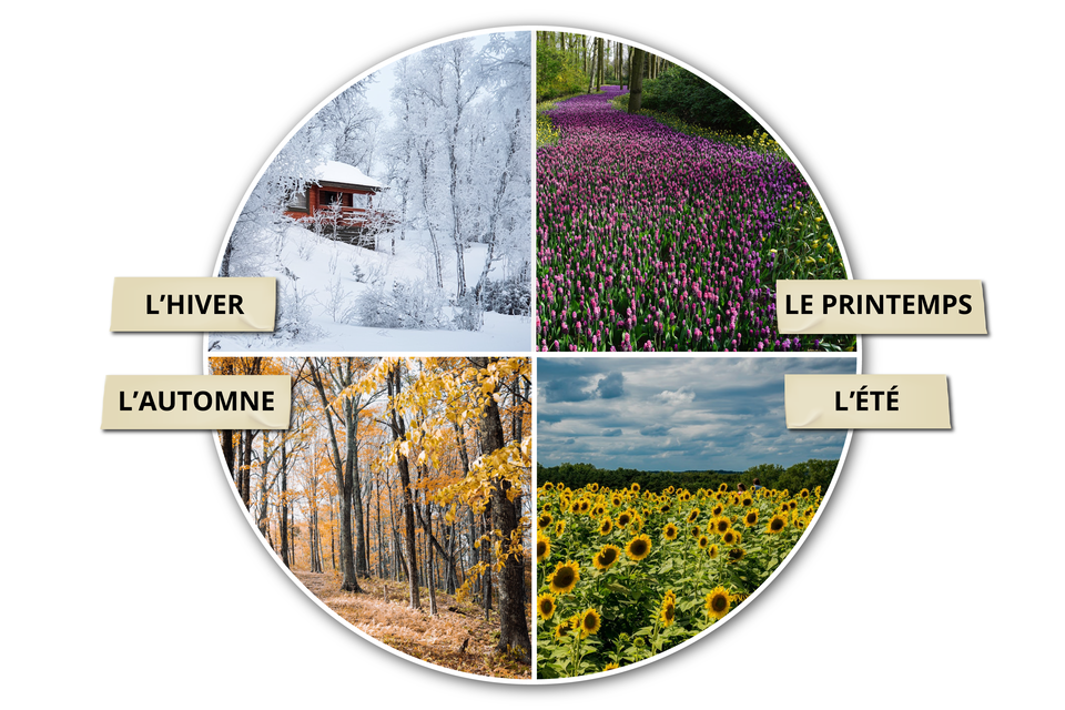 Ilustracja przedstawia koło podzielone na cztery równe części. W każdej z nich jest zdjęcie i podpis. Zdjęcie chatki w lesie pokrytym śniegiem. Podpis: L'HIVER. Zdjęcie przedstawia pole w kształcie drogi w lesie pełne fioletowych kwiatów. Podpis: LE PRINTEMPS.  Zdjęcie przedstawia jesienny las. Podpis: L'AUTOMNE. Zdjęcie pola słoneczników. Podpis: L'ÉTÉ.