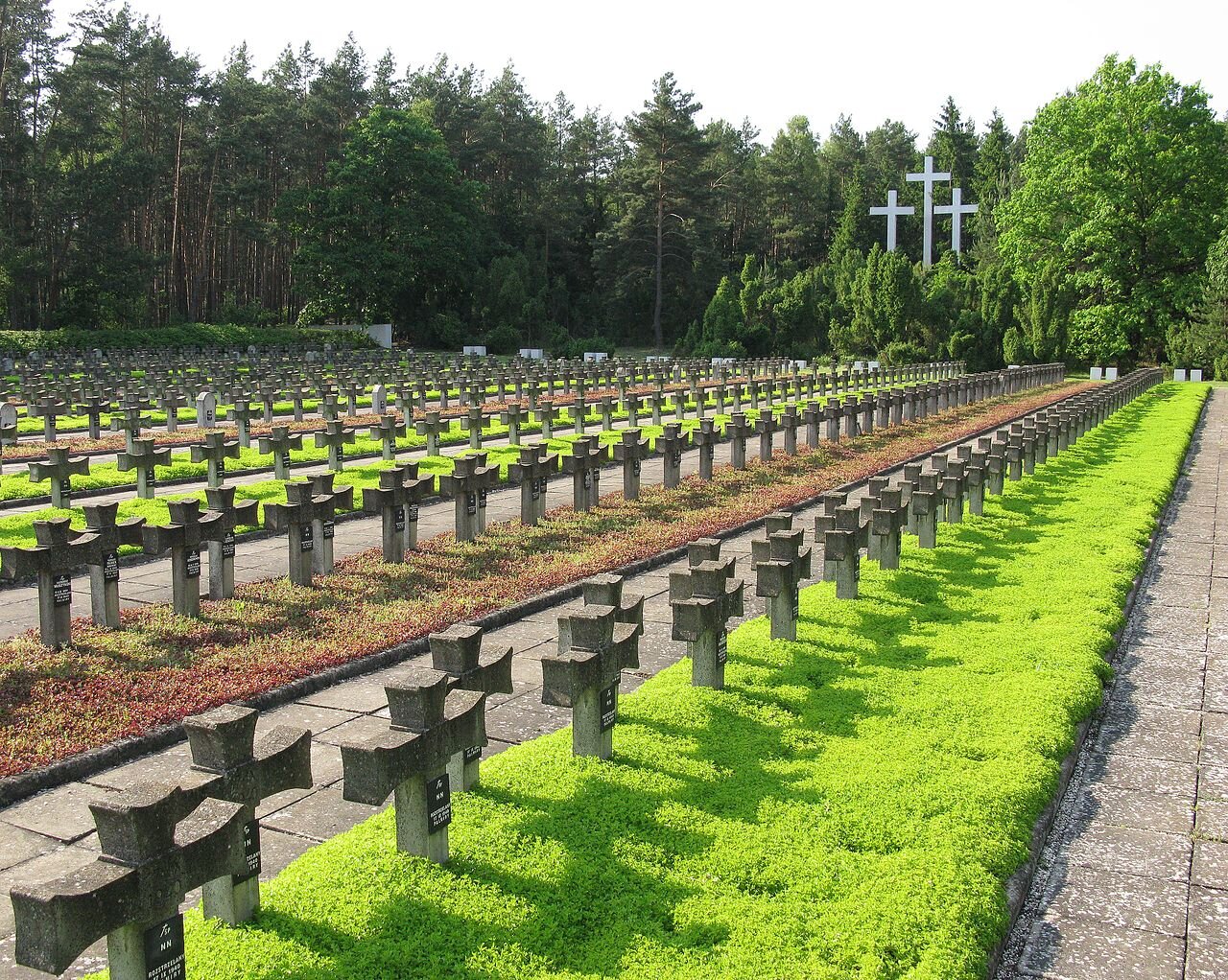 Zdjęcie przedstawia cmentarz. Składa się z wielu rzędów niskich, betonowych krzyży. Pomiędzy nimi są ścieżki oraz trawnik. W tle stoją trzy wysokie krzyże oraz rosną drzewa.