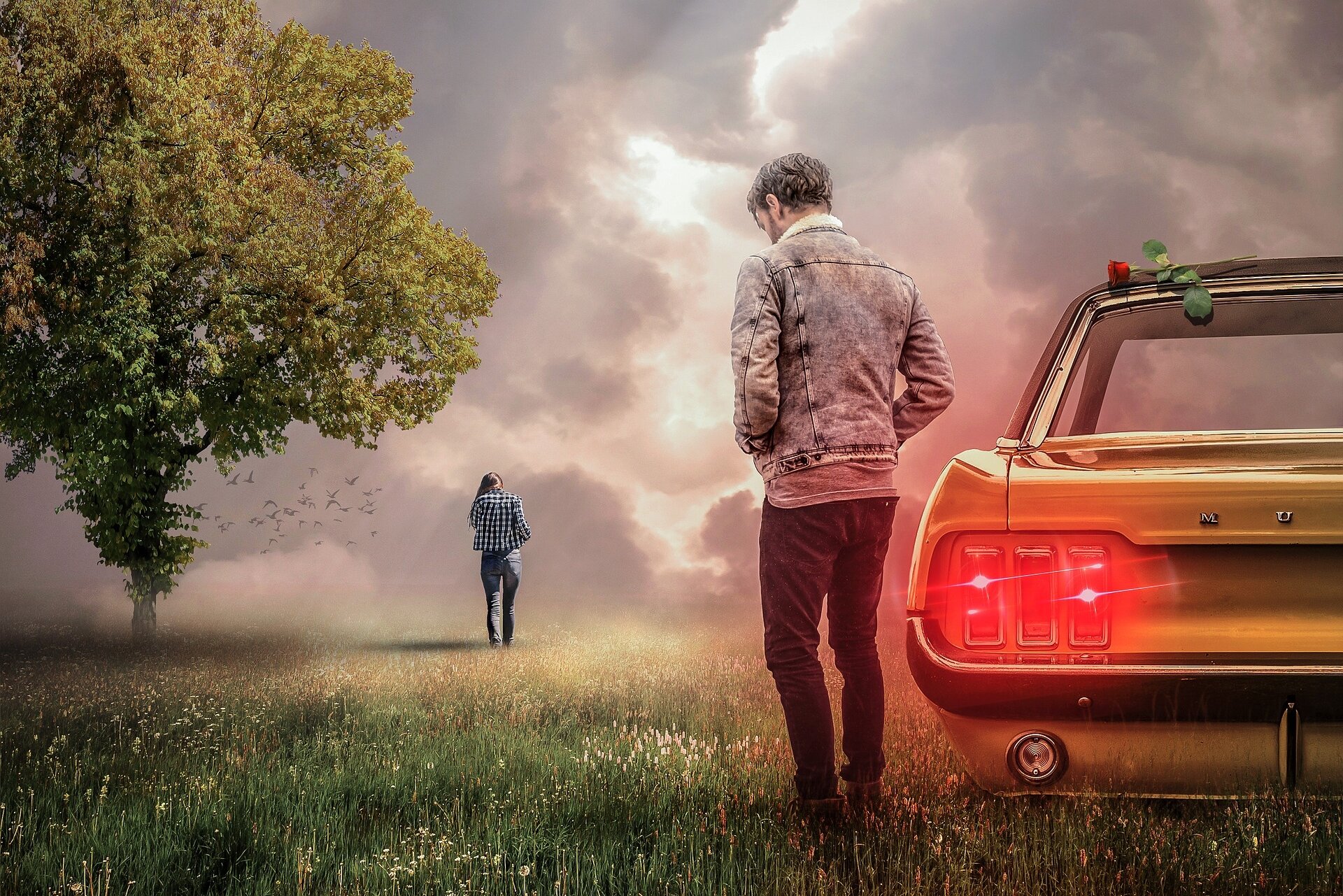 Ilustracja przedstawia łąkę i rosnące na niej drzewo. Na łące stoi samochód osobowy, na jego dachu leży czerwona róża. Przy samochodzie znajduje się mężczyzna odwrócony do widza plecami. Mężczyzna patrzy na odchodzącą w dal kobietę.