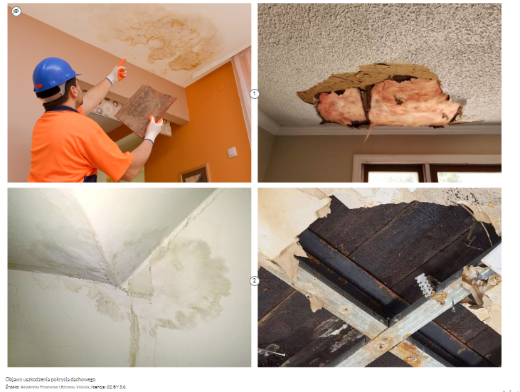 Przykładowy wygląd kolażu zdjęć